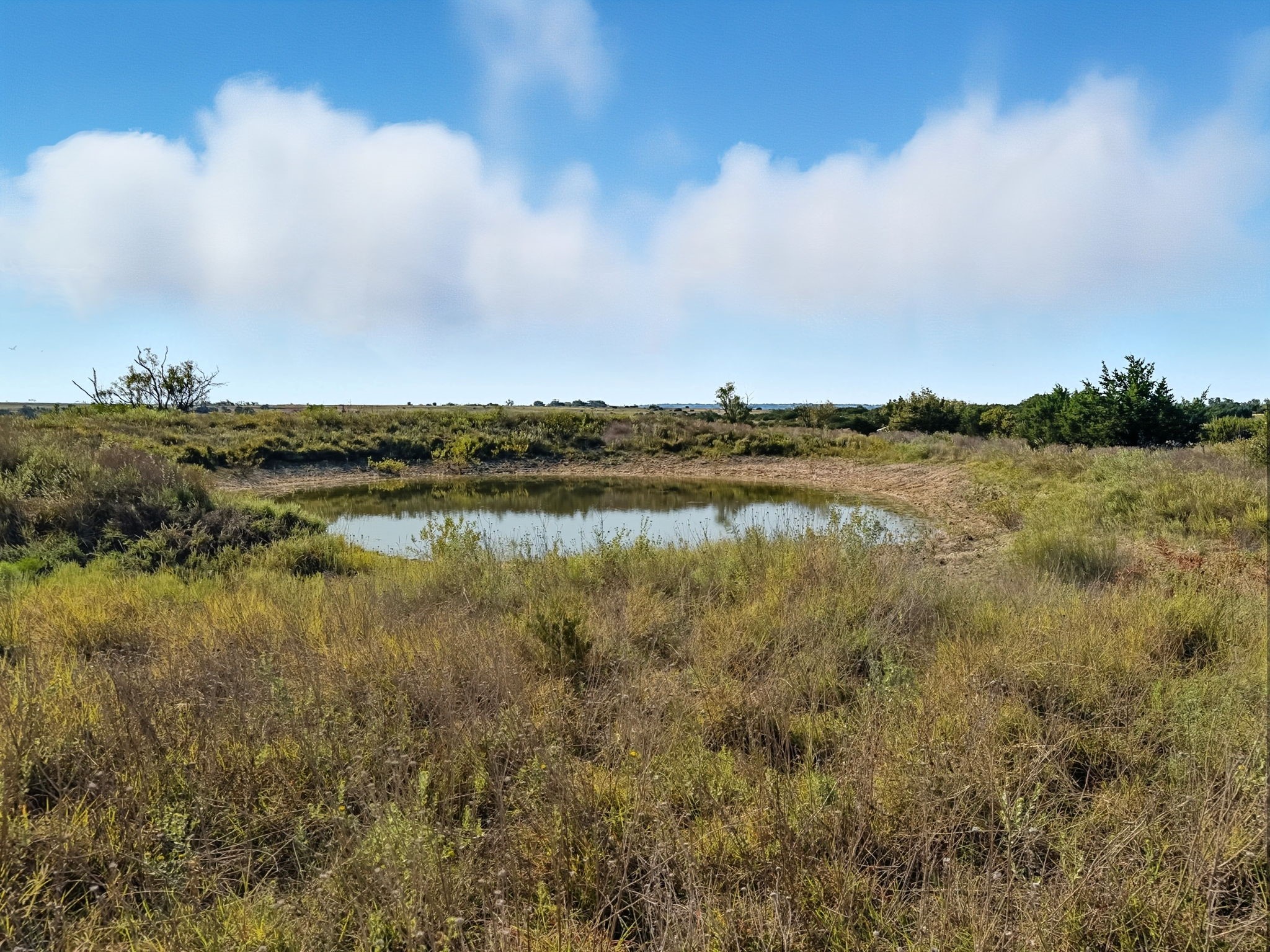 Property photo 03 of TBD FM 221, Pottsville, TX 76565 | MLS #21061359