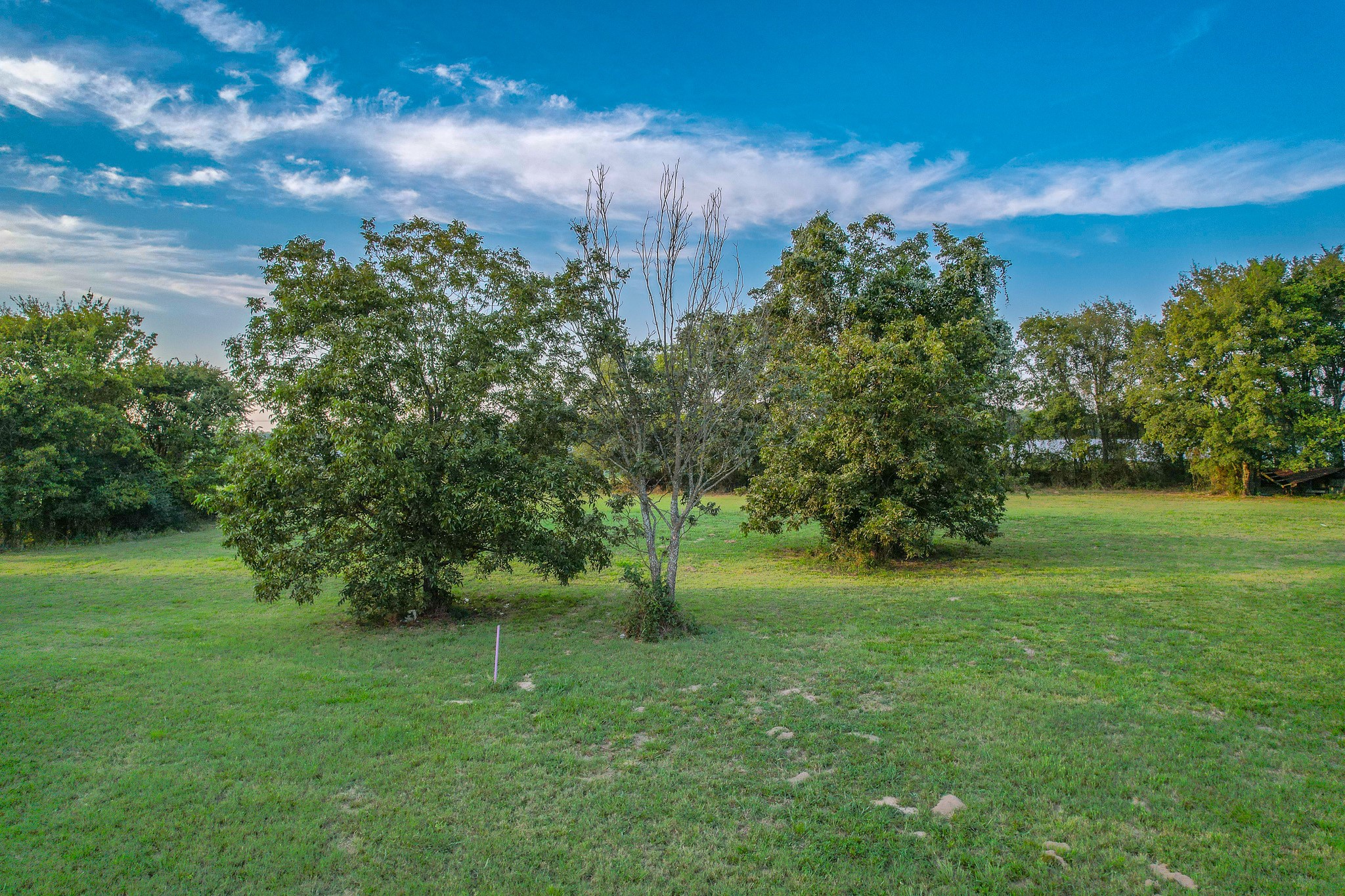 212 Country lane, Malakoff, TX, 75148
