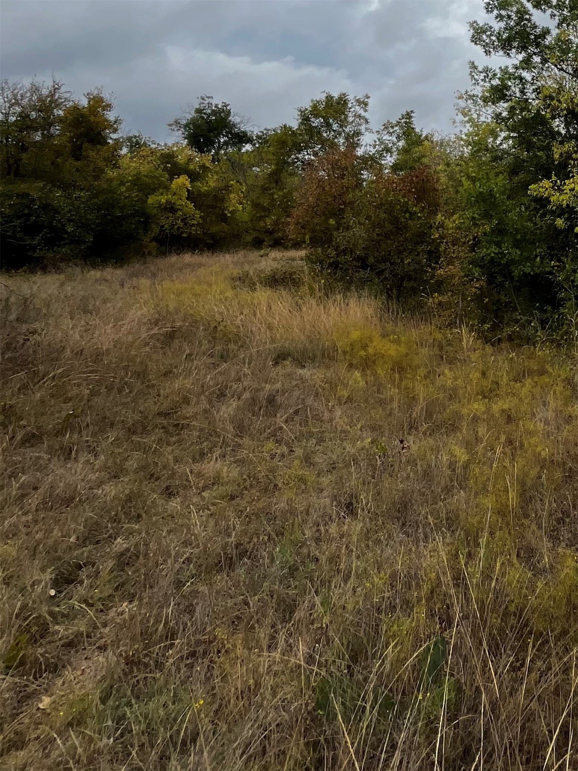 TBD Flat Rock Rd, Azle, TX, 76020