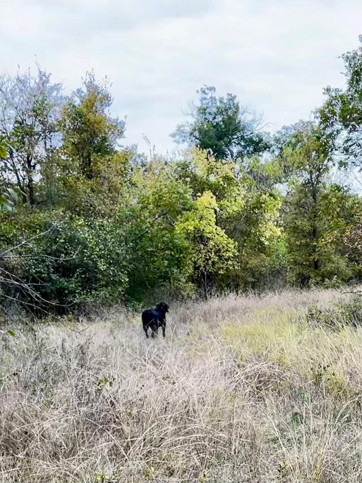 TBD Flat Rock Rd, Azle, TX, 76020