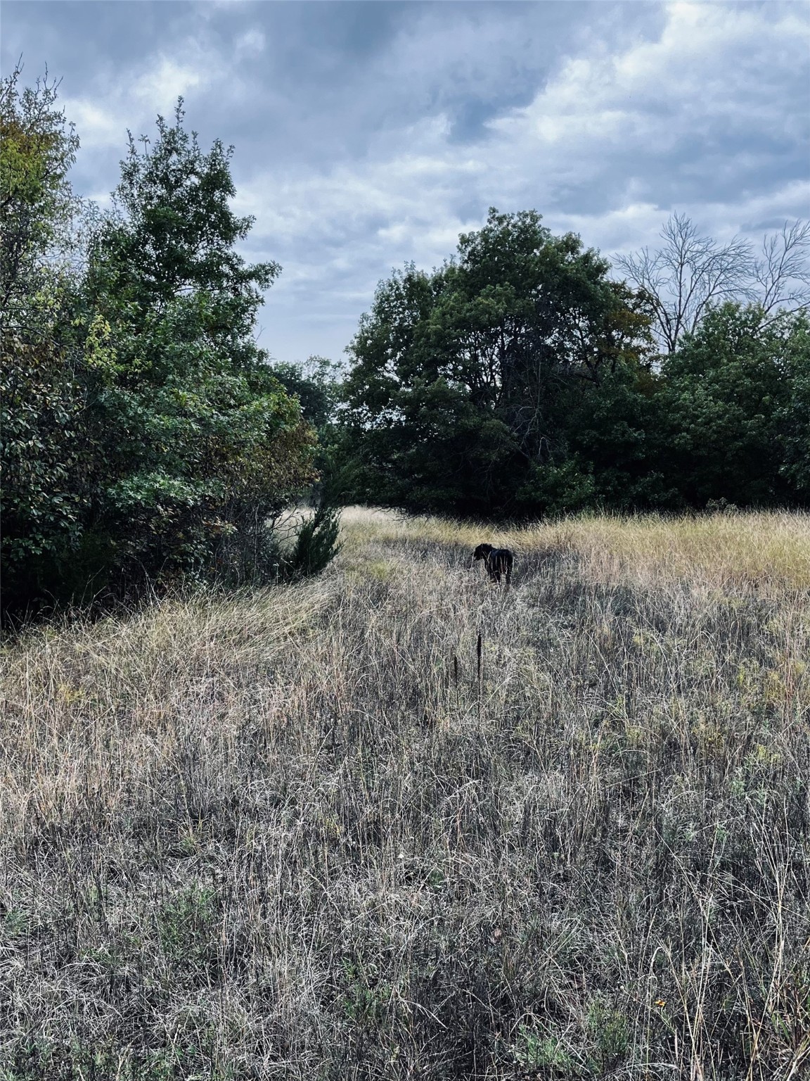 TBD Flat Rock Rd, Azle, TX, 76020