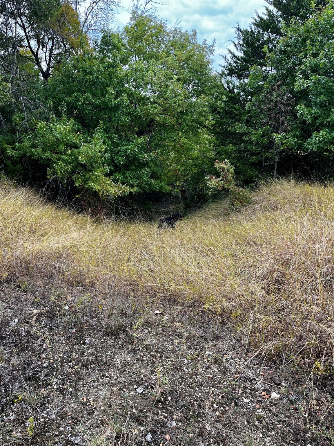 TBD Flat Rock Rd, Azle, TX, 76020