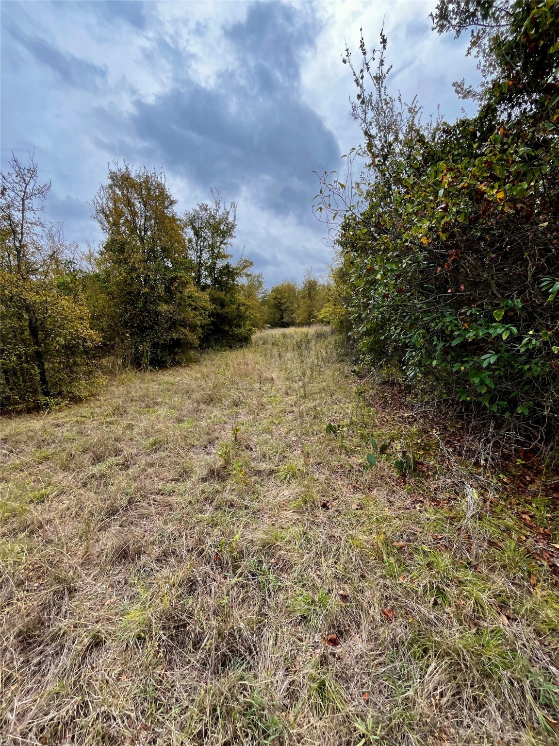 TBD Flat Rock Rd, Azle, TX, 76020