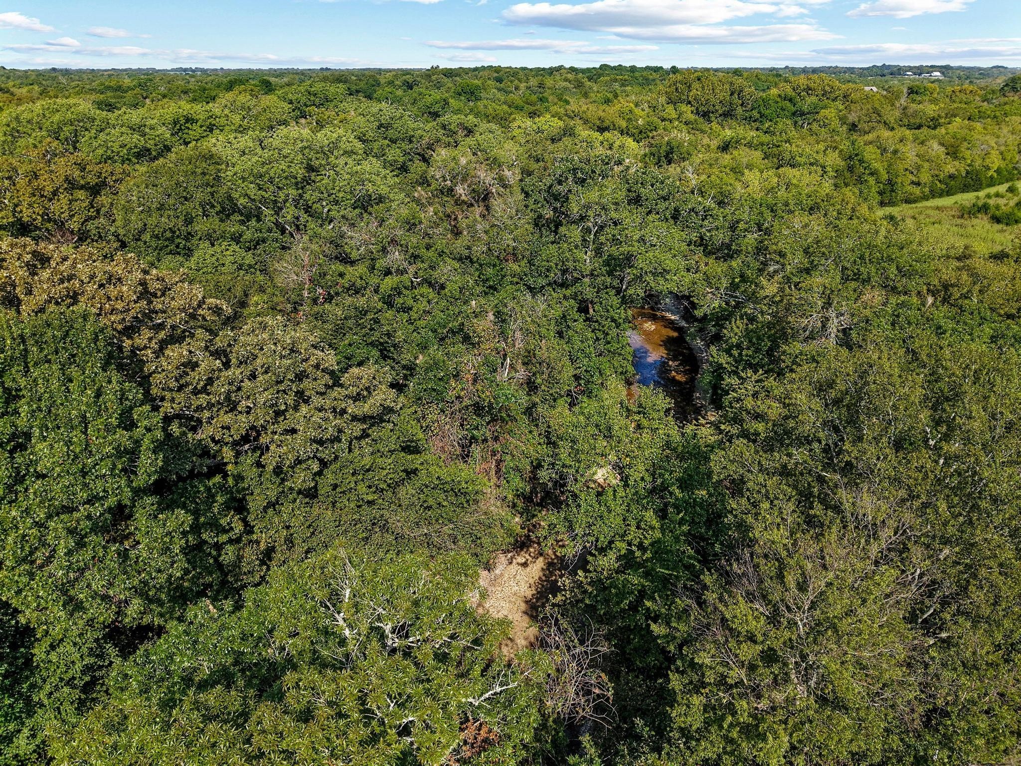 0000 County Road 534, Whitewright, TX, 75491