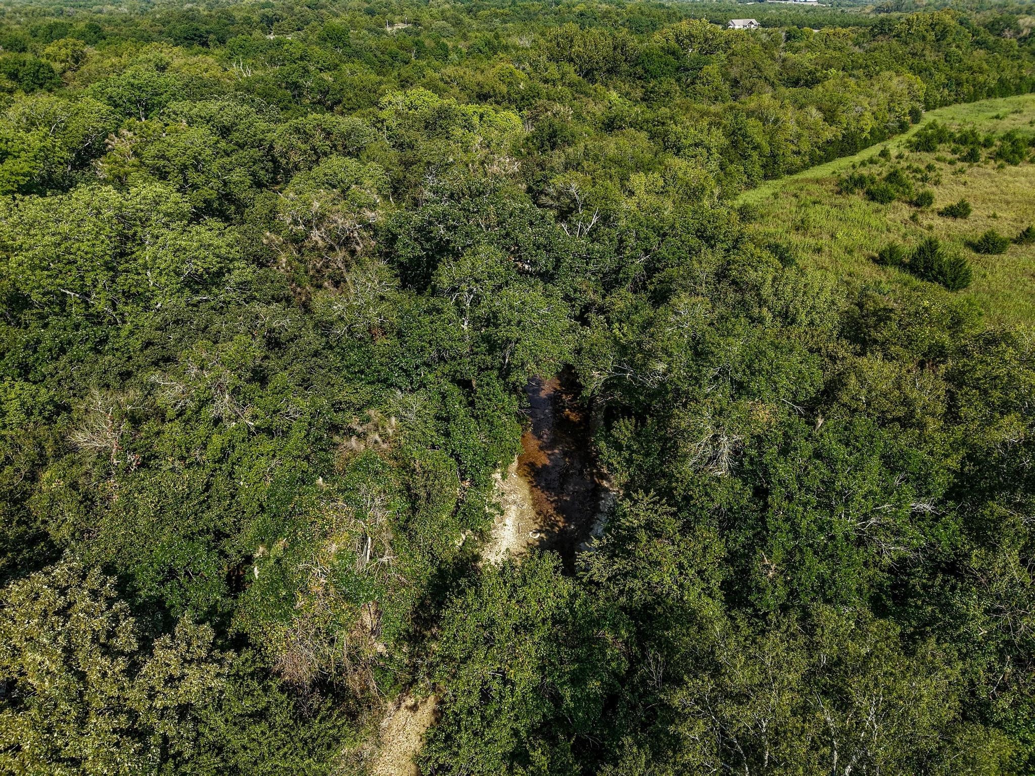 0000 County Road 534, Whitewright, TX, 75491