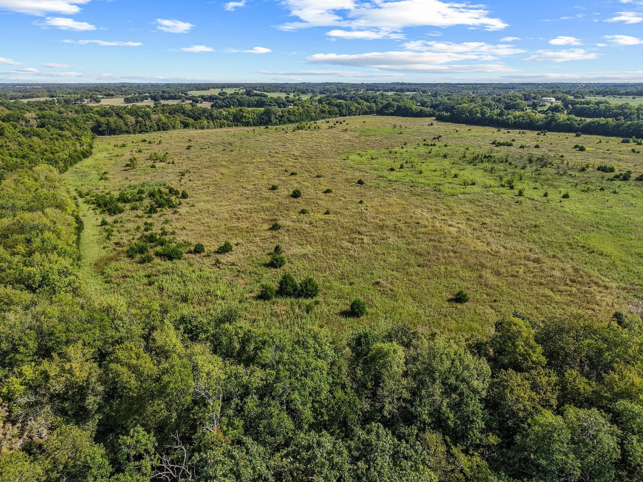0000 County Road 534, Whitewright, TX, 75491