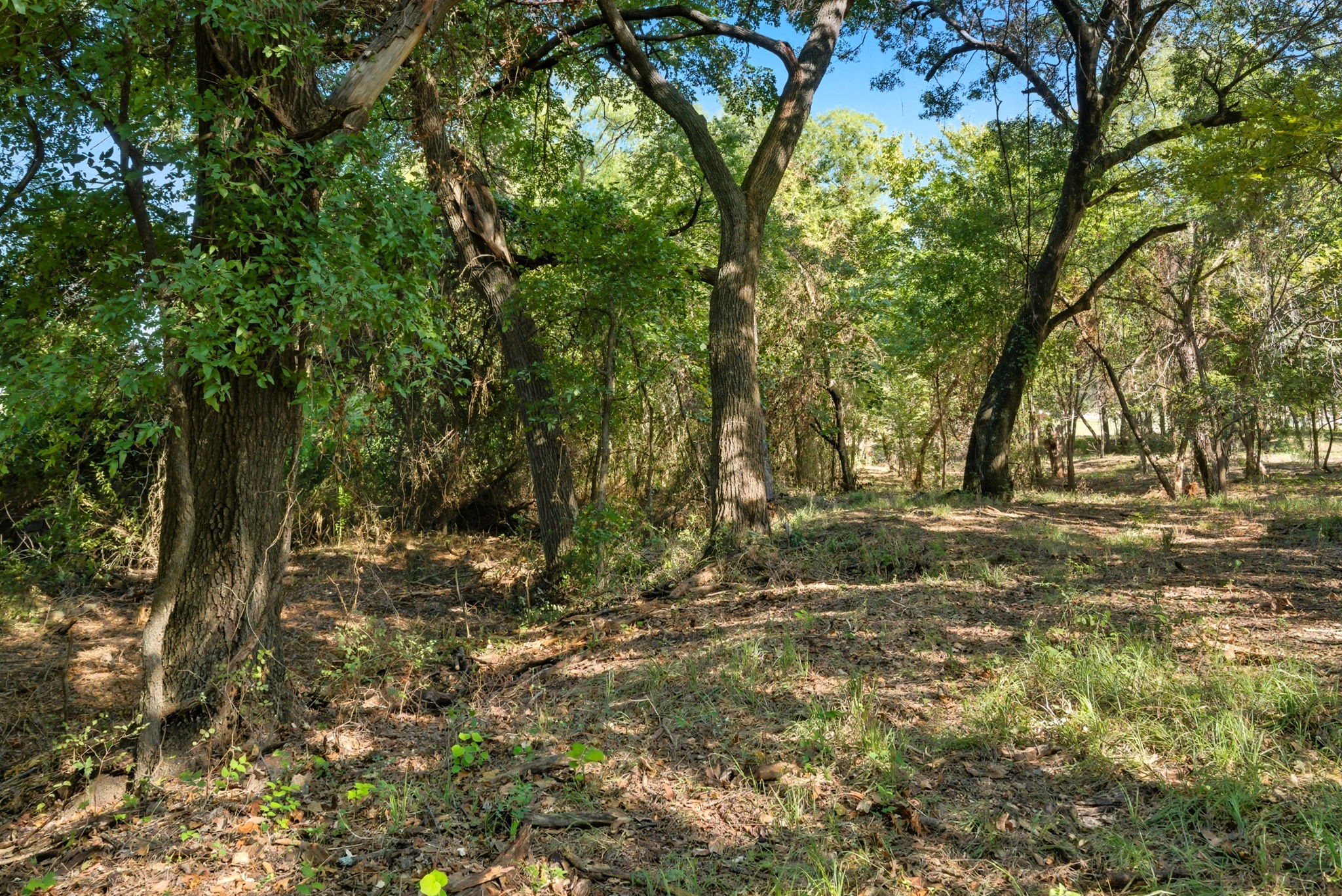 TBD Candis Court, Springtown, TX, 76082