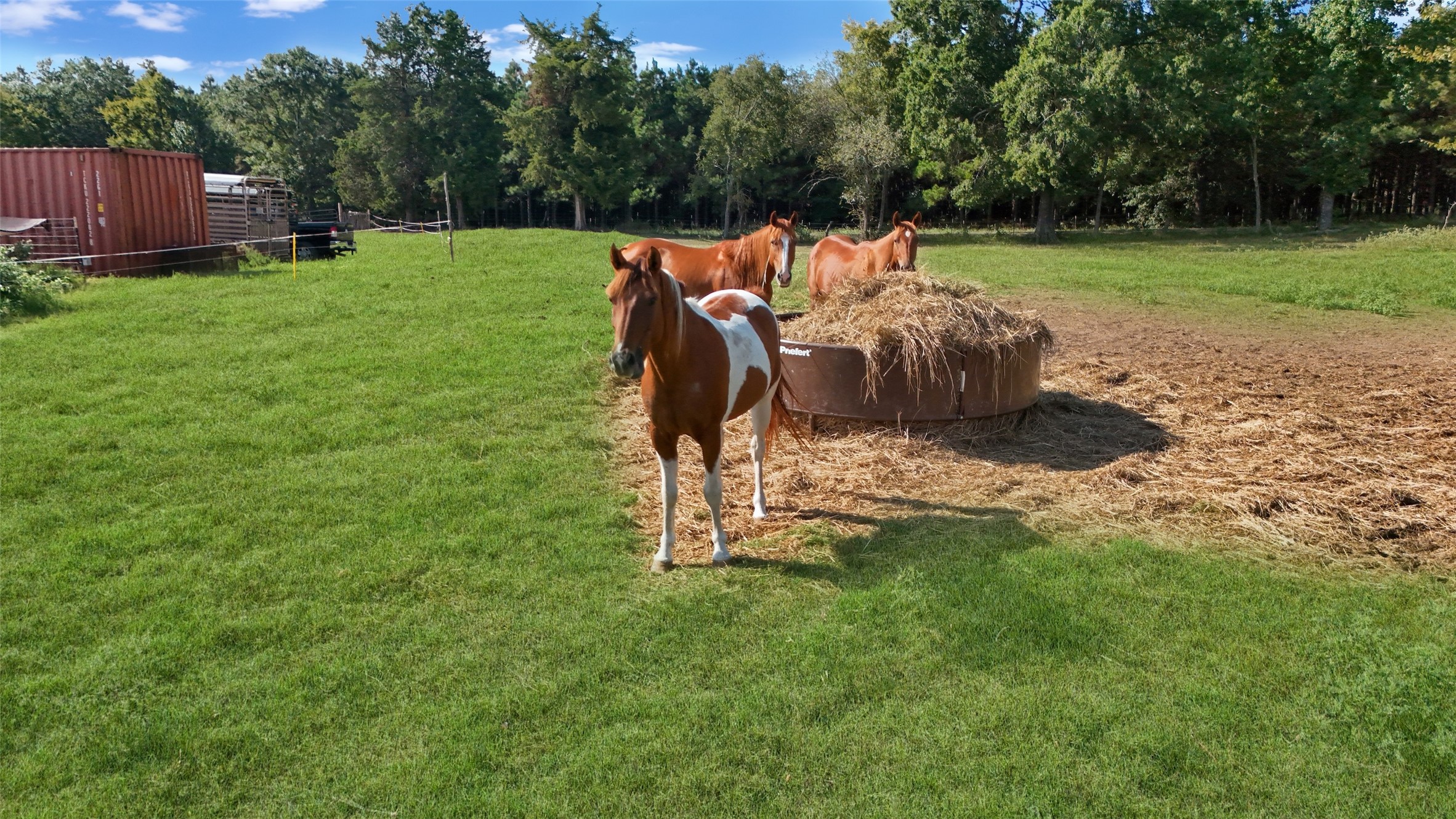 1786 Co Rd 1070, Mt Pleasant, TX, 75455