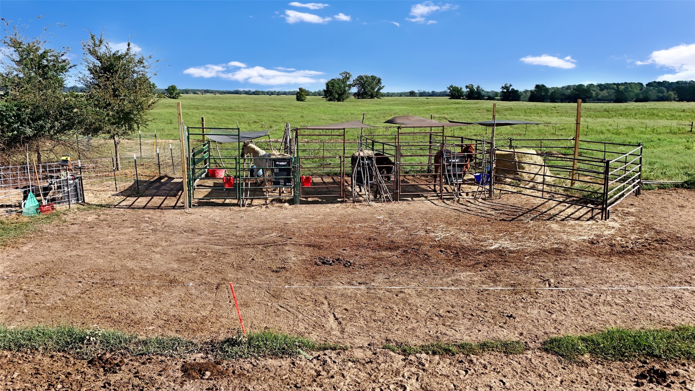 1786 Co Rd 1070, Mt Pleasant, TX, 75455