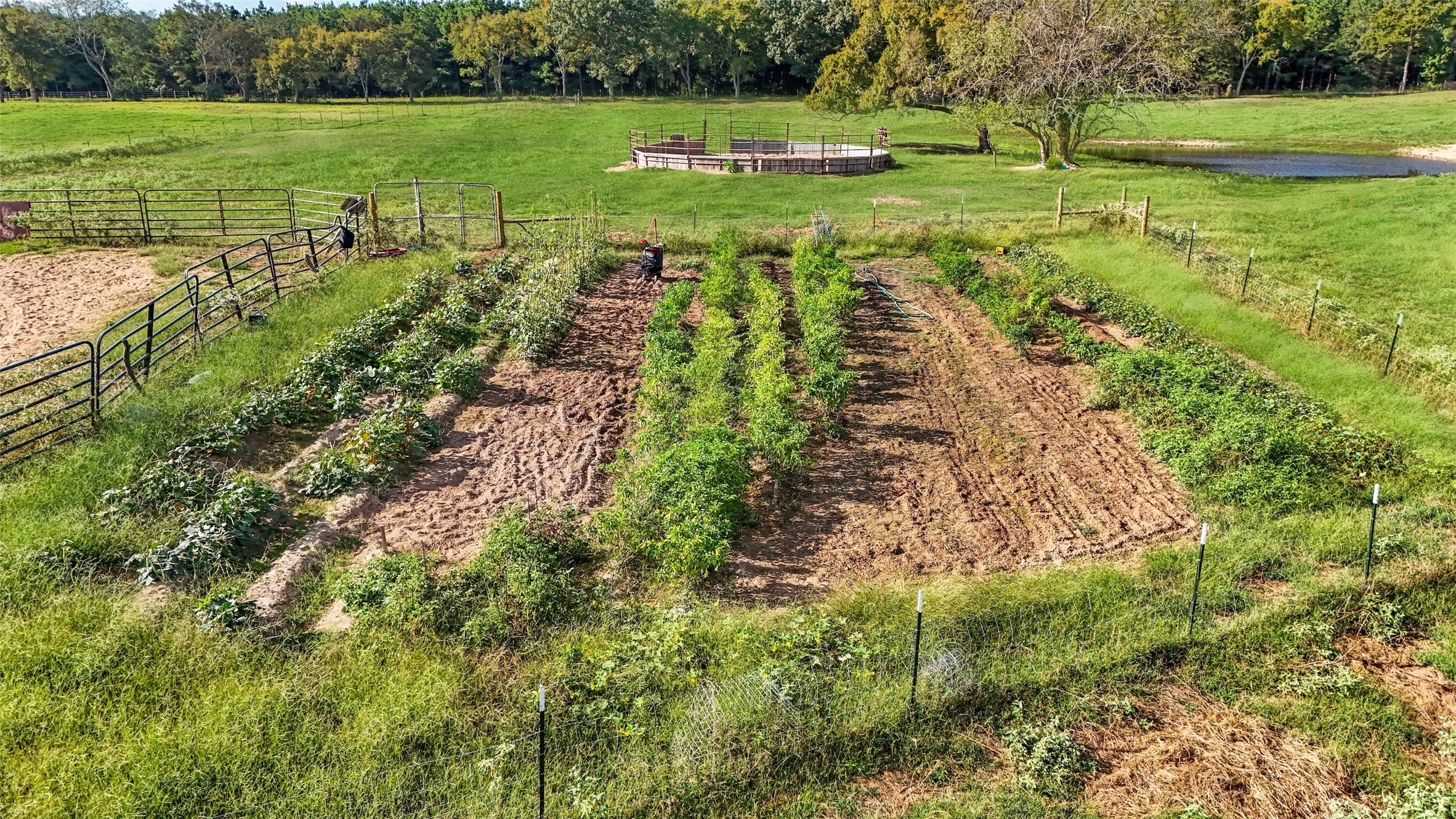 1786 Co Rd 1070, Mt Pleasant, TX, 75455