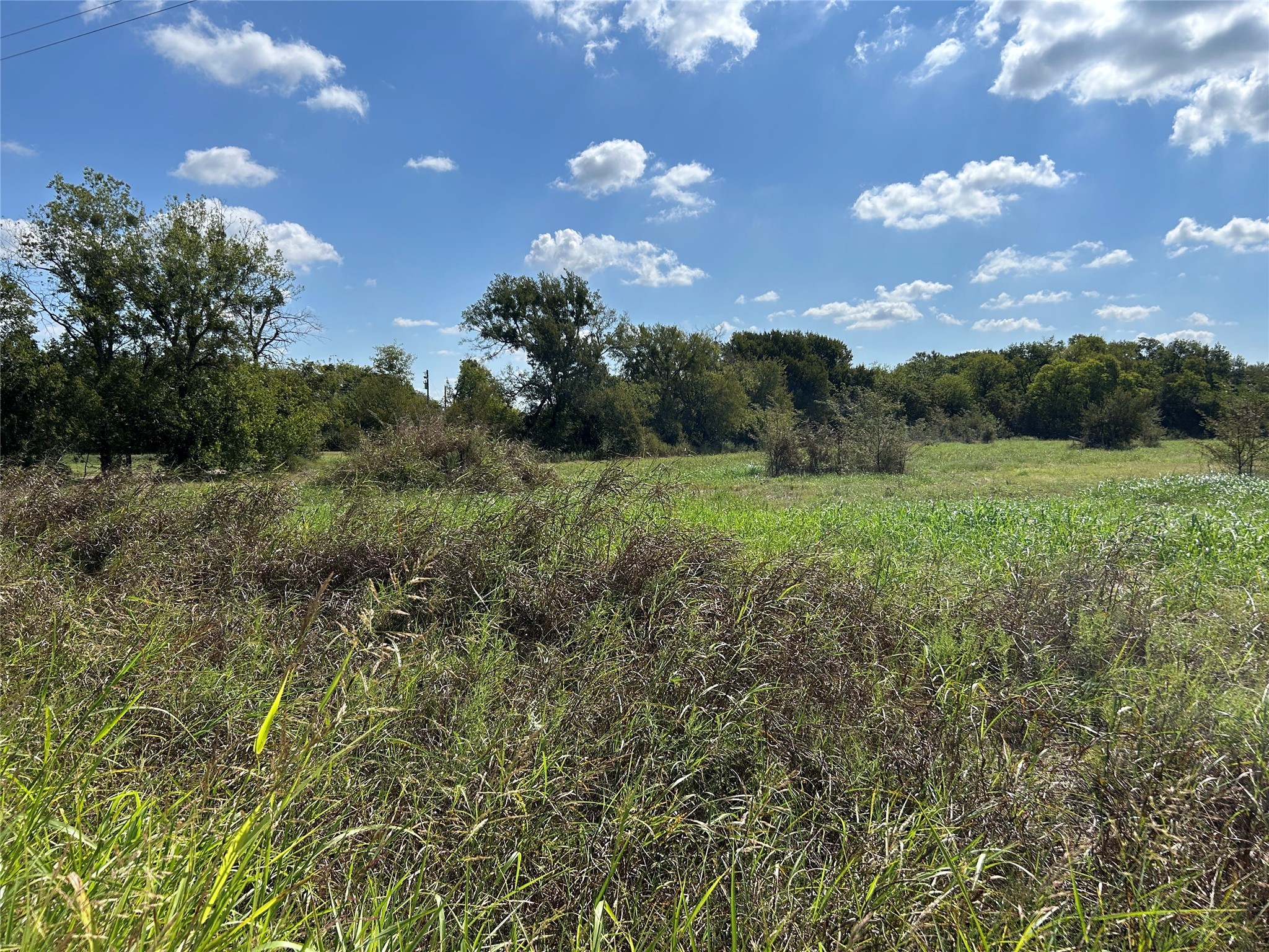 Tract 1 CR-153, Kaufman, TX, 75142