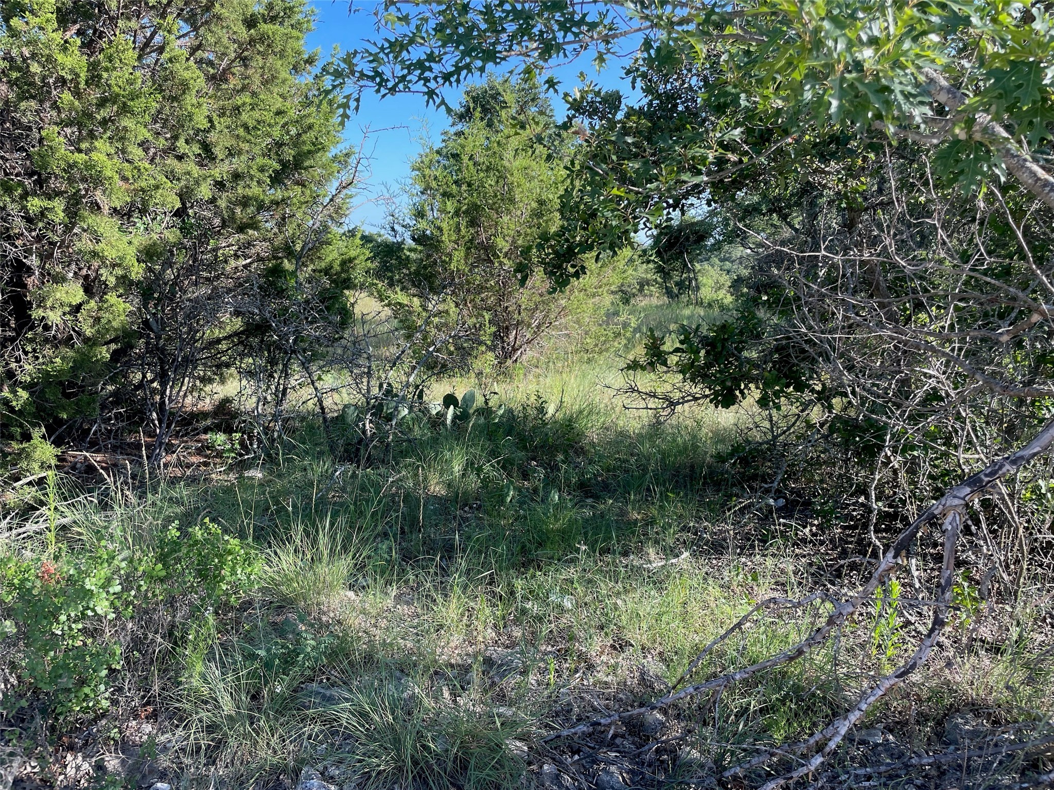 Property photo 01 of Lot 22 Oakcrest Drive, Ranger, TX 76470 | MLS #21068793