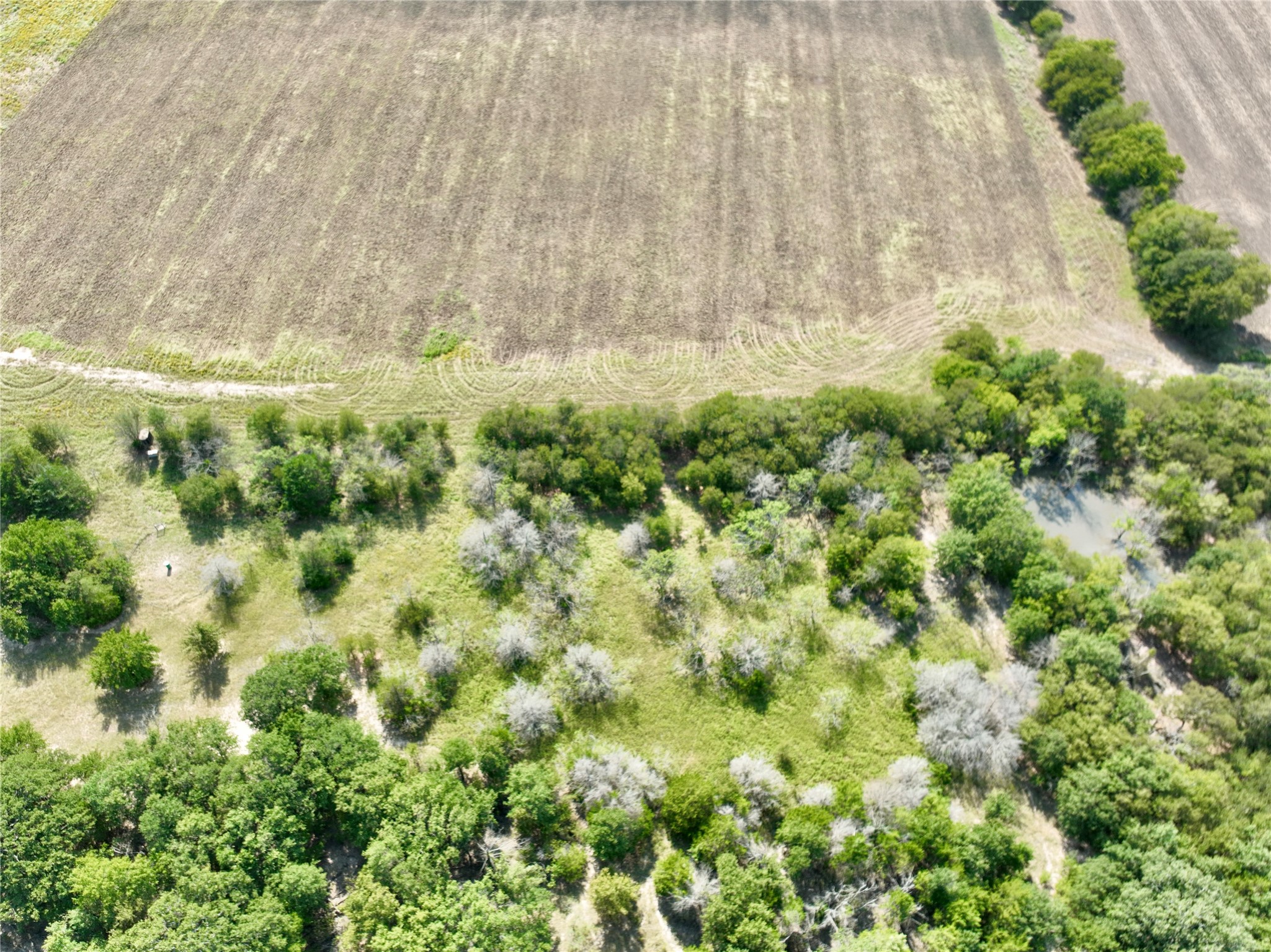 TBD 93.8± acres NW Co Rd 3310, Frost, TX, 76641