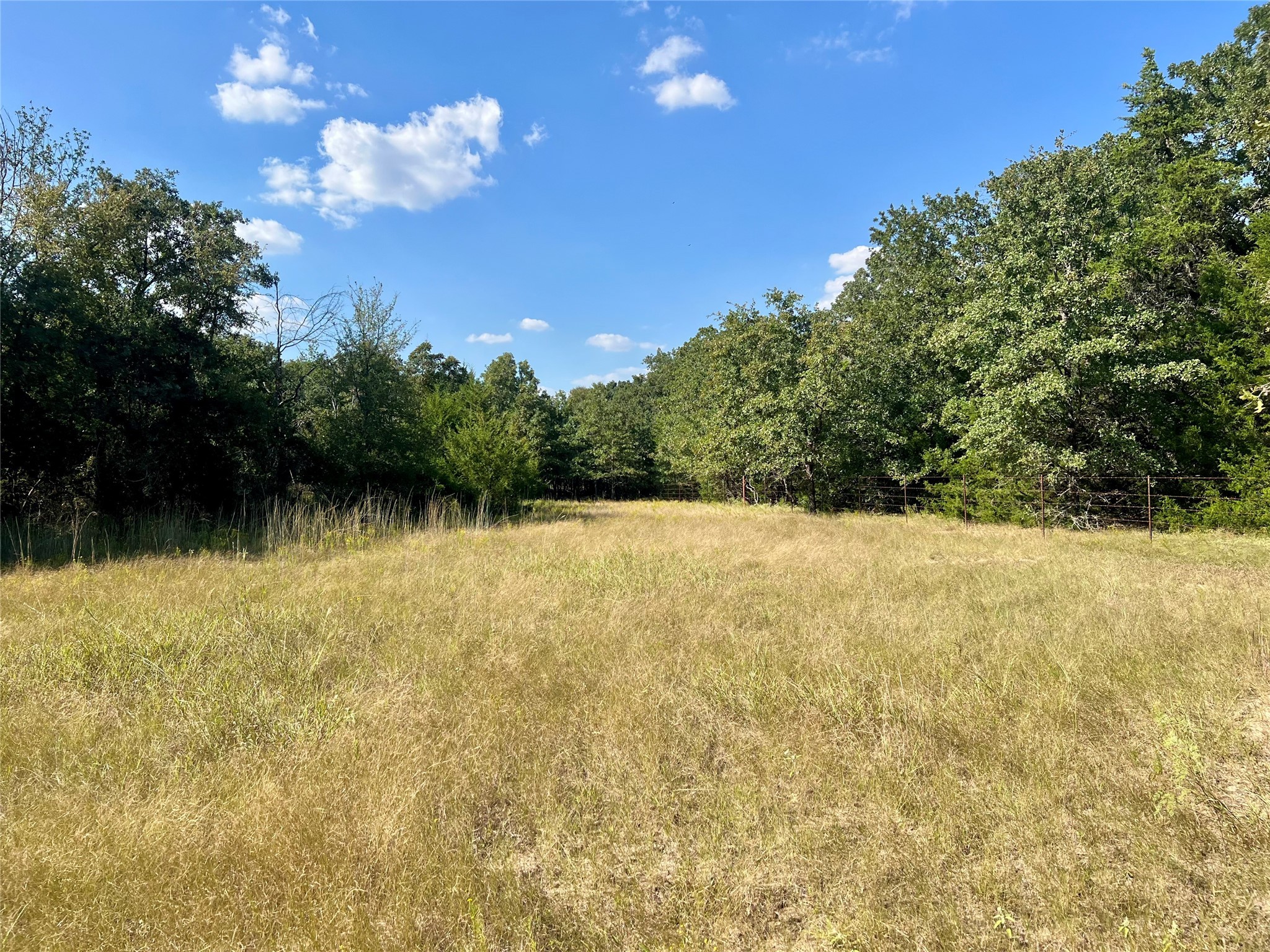TBD 93.8± acres NW Co Rd 3310, Frost, TX, 76641