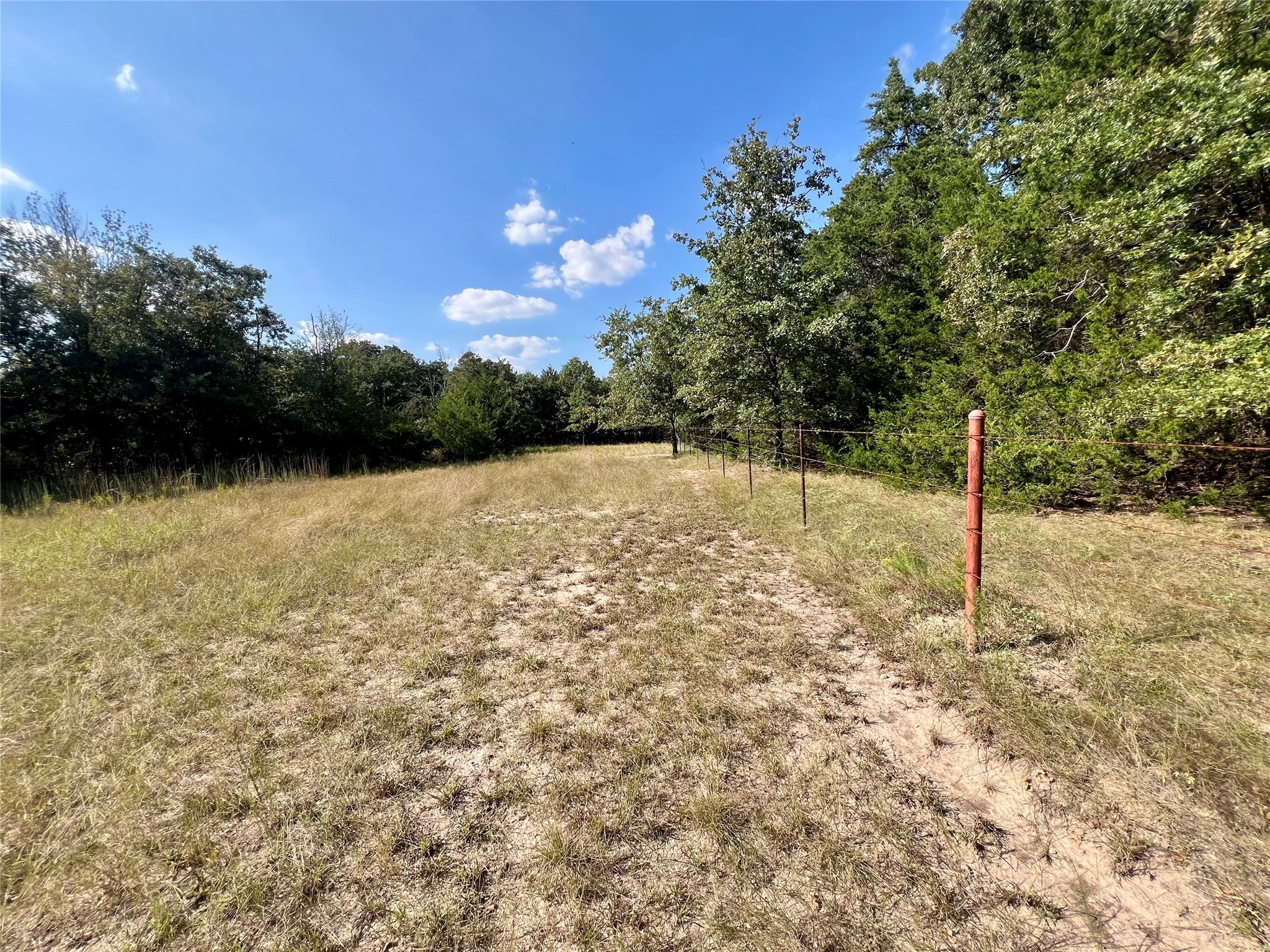 TBD 93.8± acres NW Co Rd 3310, Frost, TX, 76641