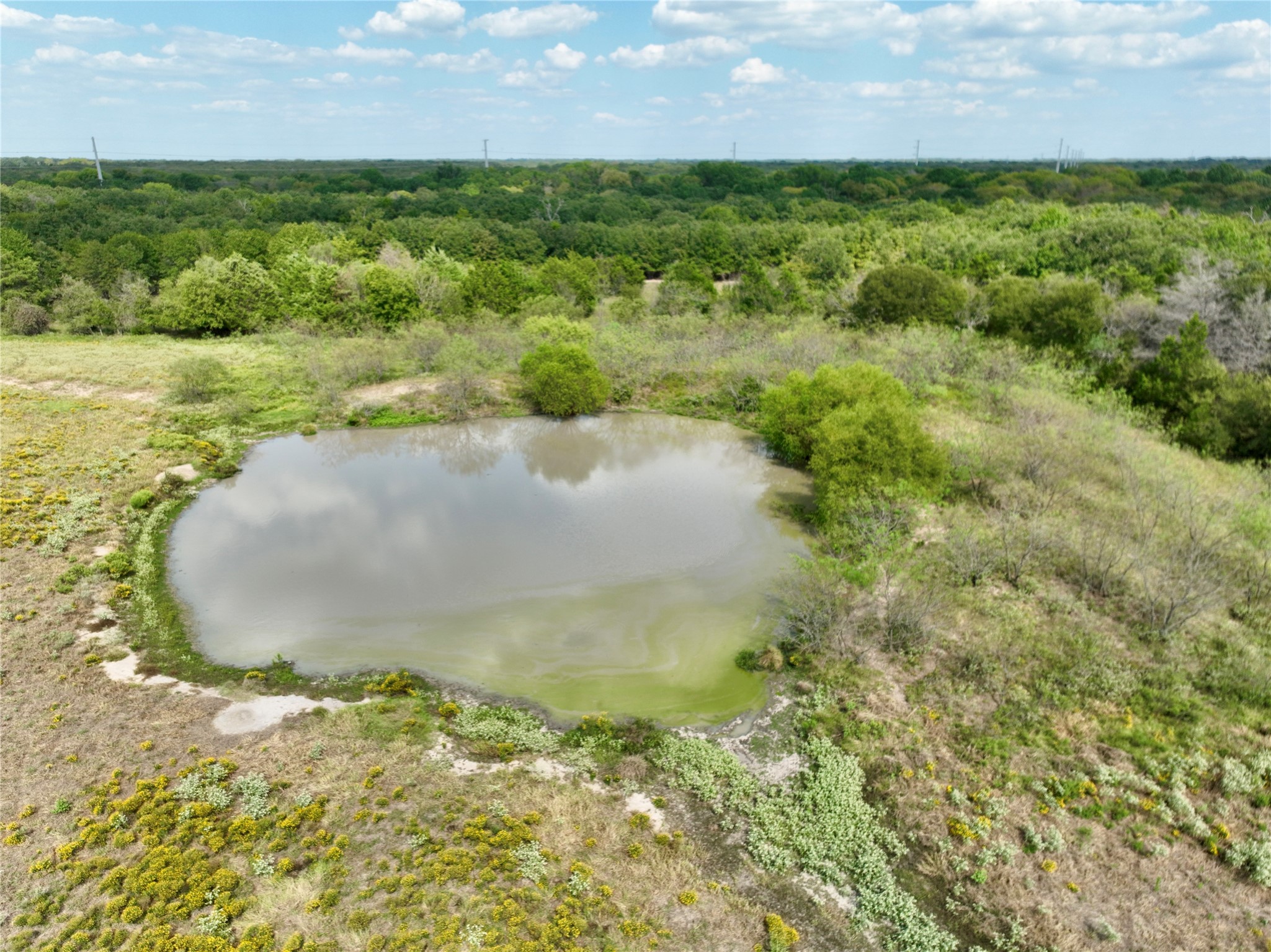 TBD 93.8± acres NW Co Rd 3310, Frost, TX, 76641