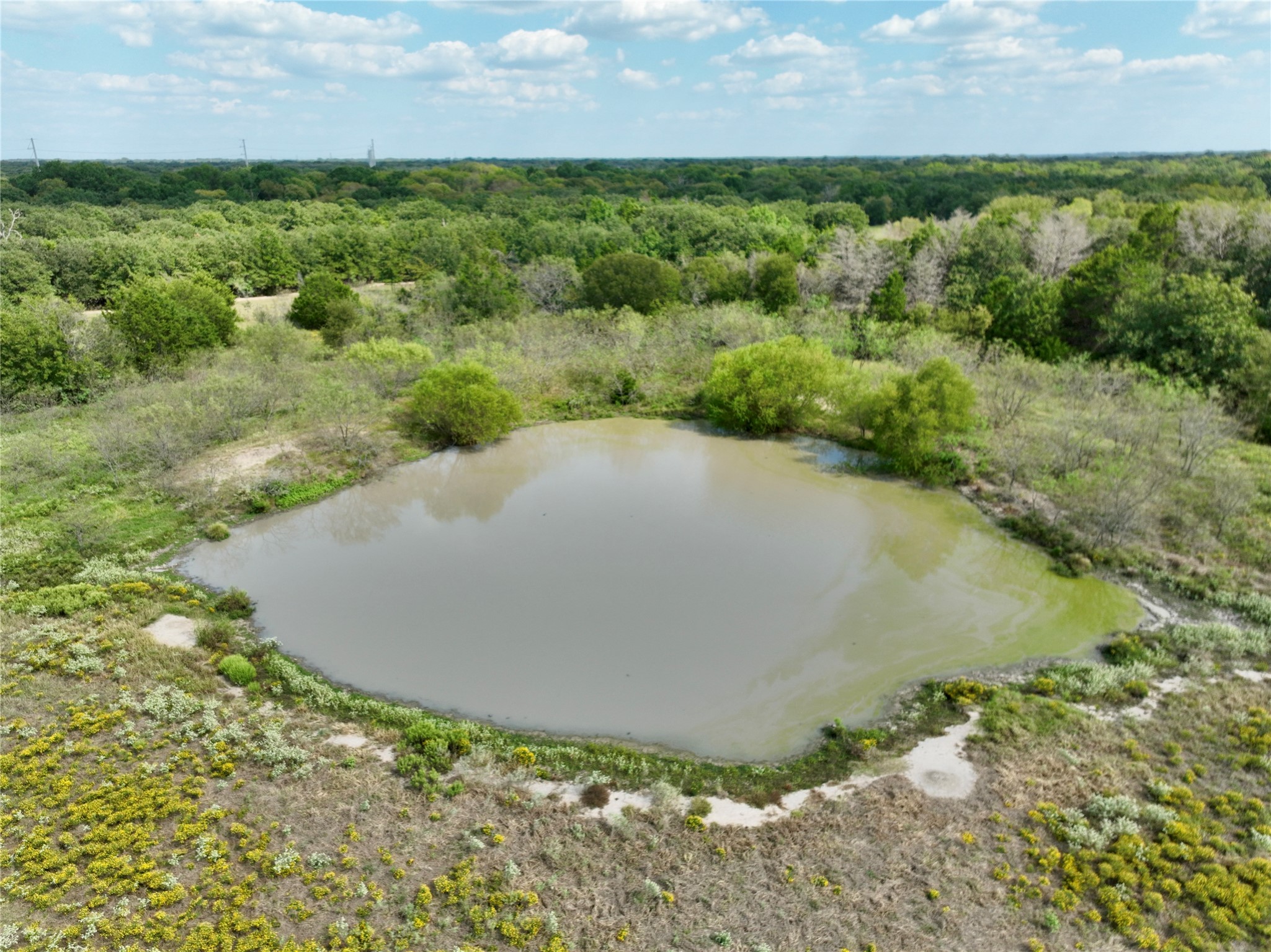 TBD 93.8± acres NW Co Rd 3310, Frost, TX, 76641