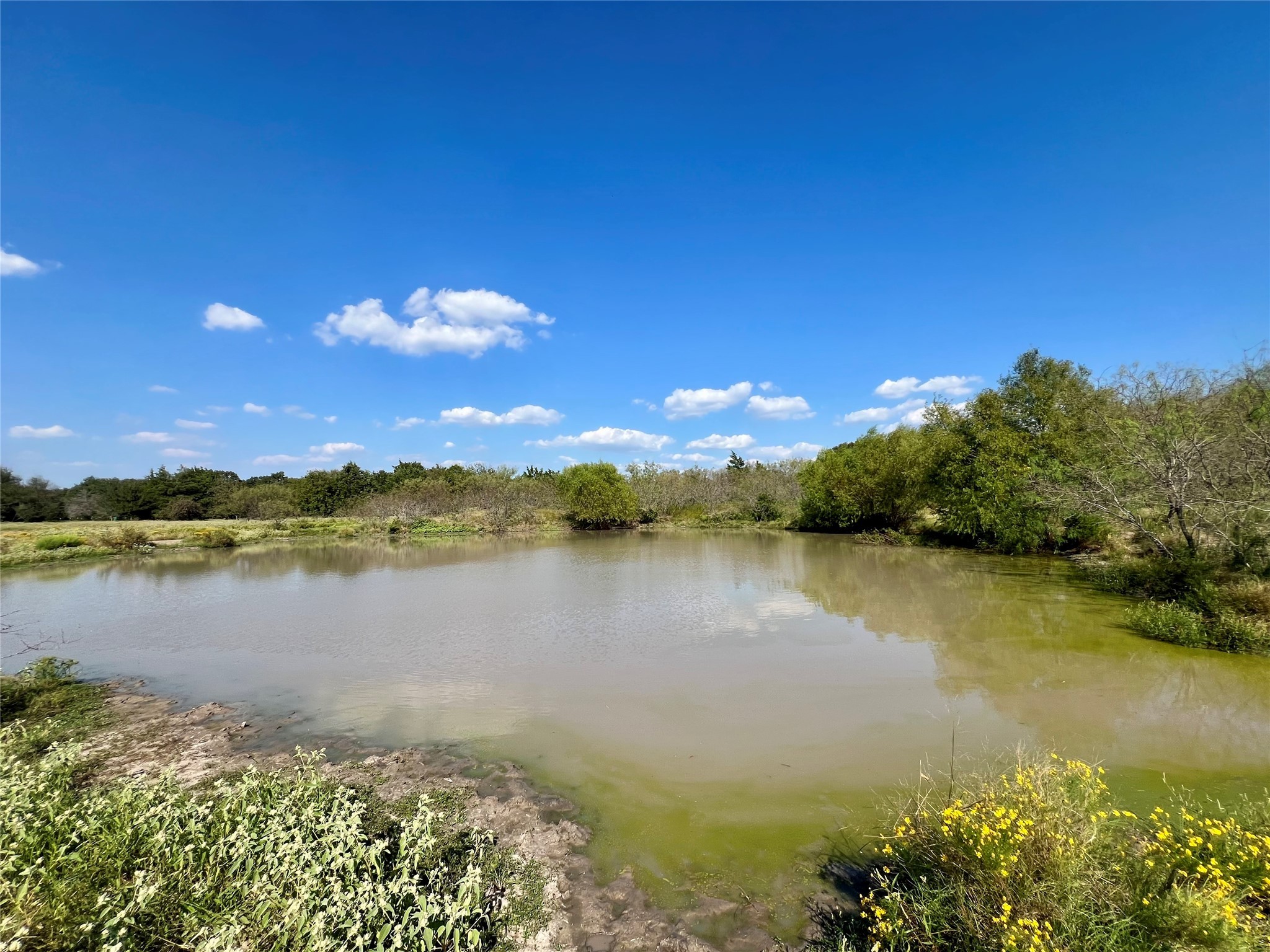 TBD 93.8± acres NW Co Rd 3310, Frost, TX, 76641