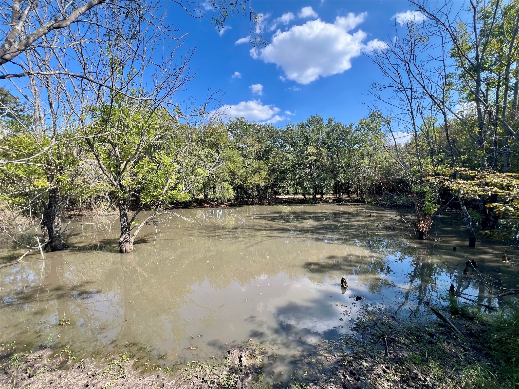 TBD 93.8± acres NW Co Rd 3310, Frost, TX, 76641