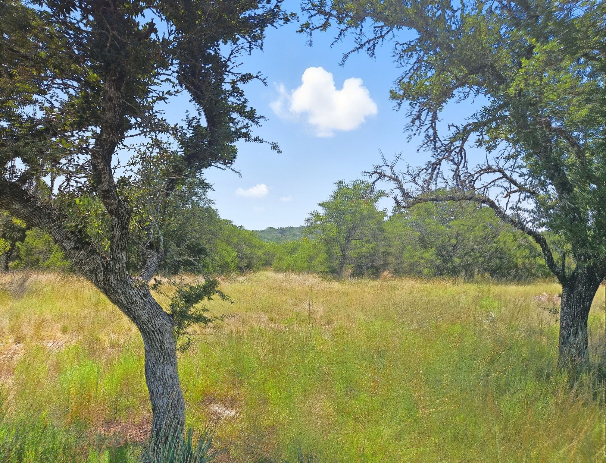 Property photo 03 of Lot 110 Phase 6 PR 42102, Evant, TX 76525 | MLS #21072616