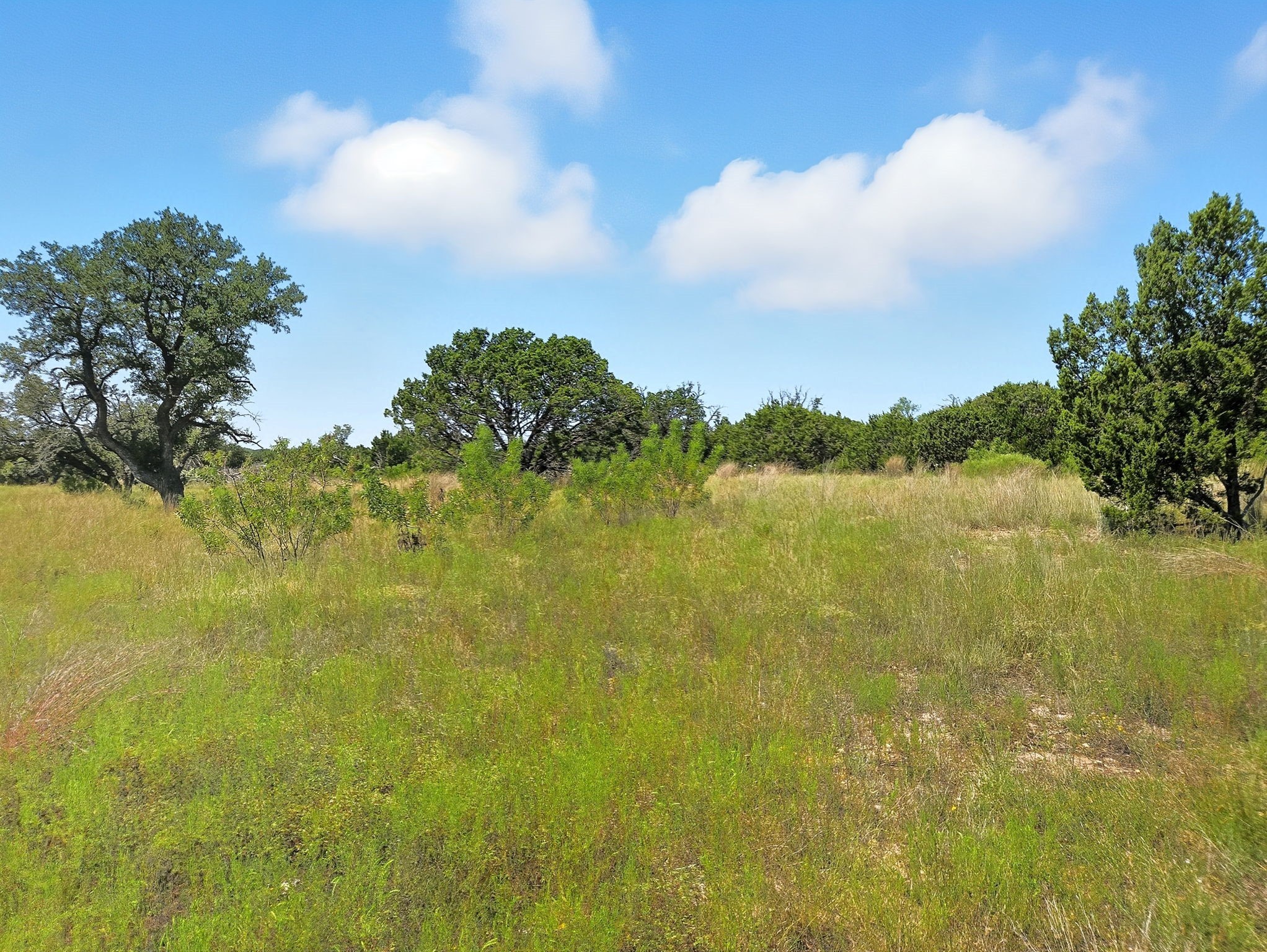 Property photo 04 of Lot 110 Phase 6 PR 42102, Evant, TX 76525 | MLS #21072616