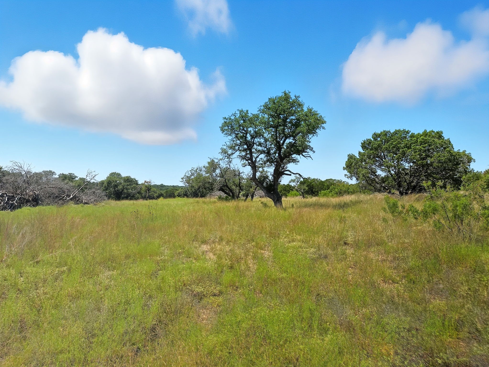 Lot 110 Phase 6 PR 42102, Evant, TX, 76525