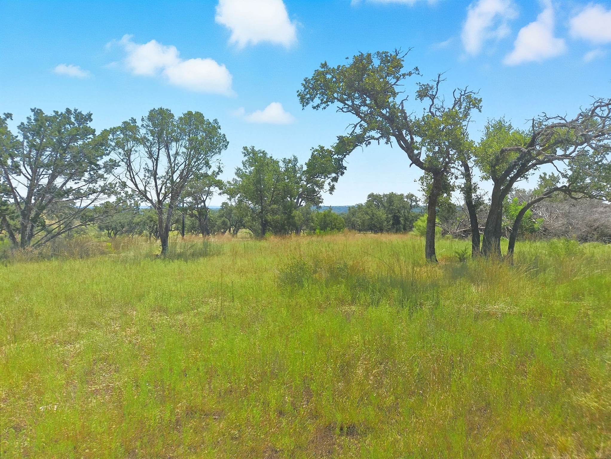 Lot 110 Phase 6 PR 42102, Evant, TX, 76525