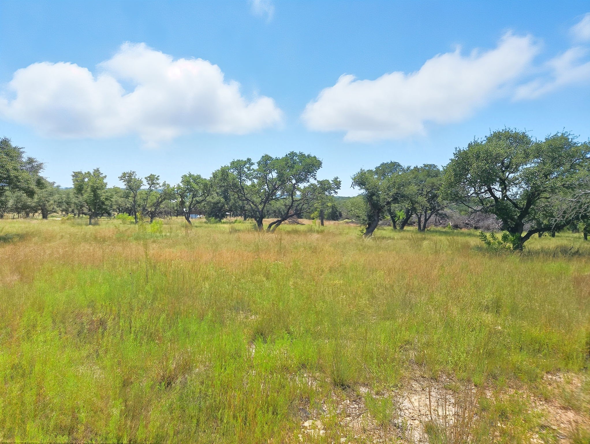 Lot 110 Phase 6 PR 42102, Evant, TX, 76525