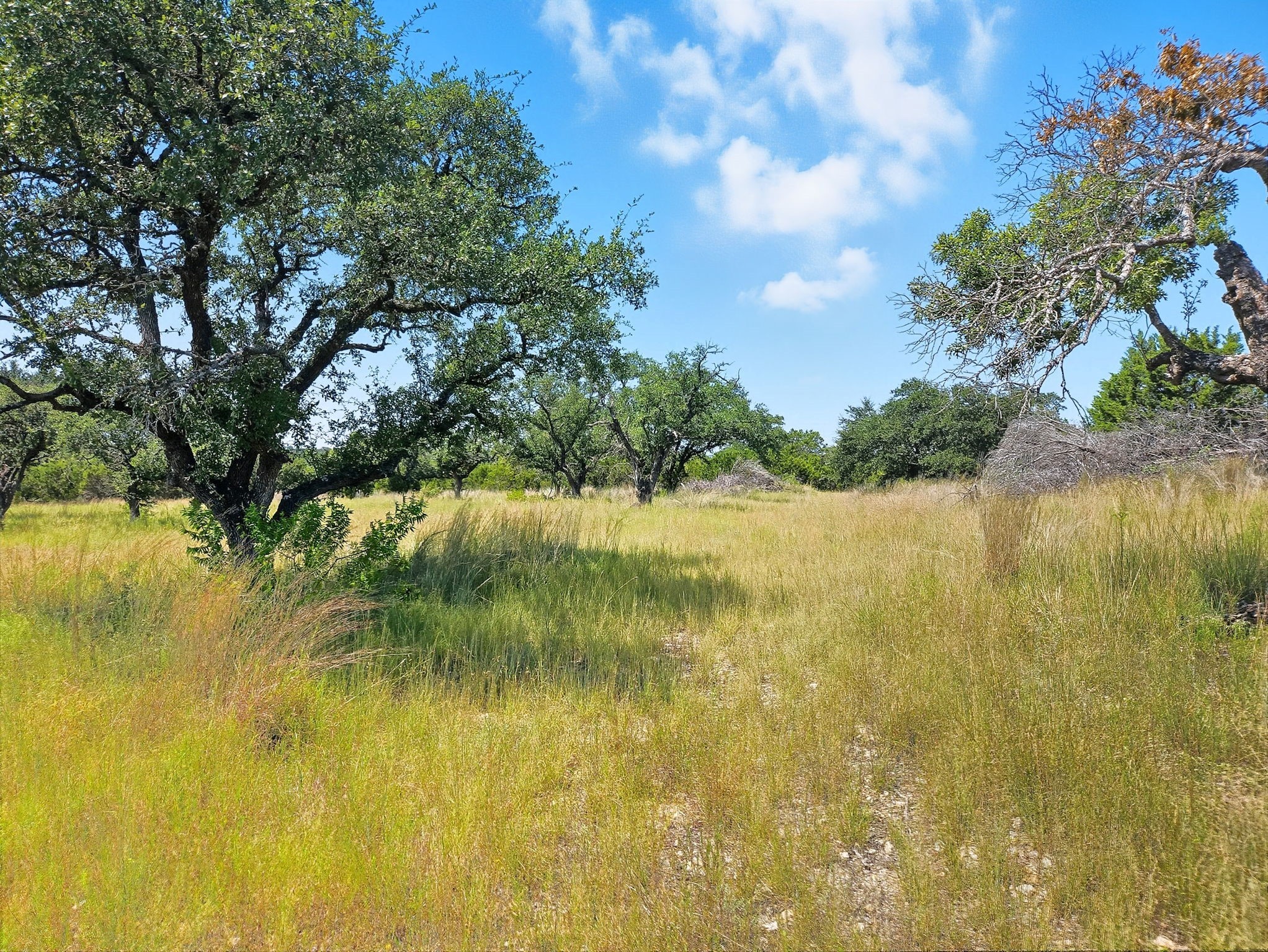 Lot 110 Phase 6 PR 42102, Evant, TX, 76525