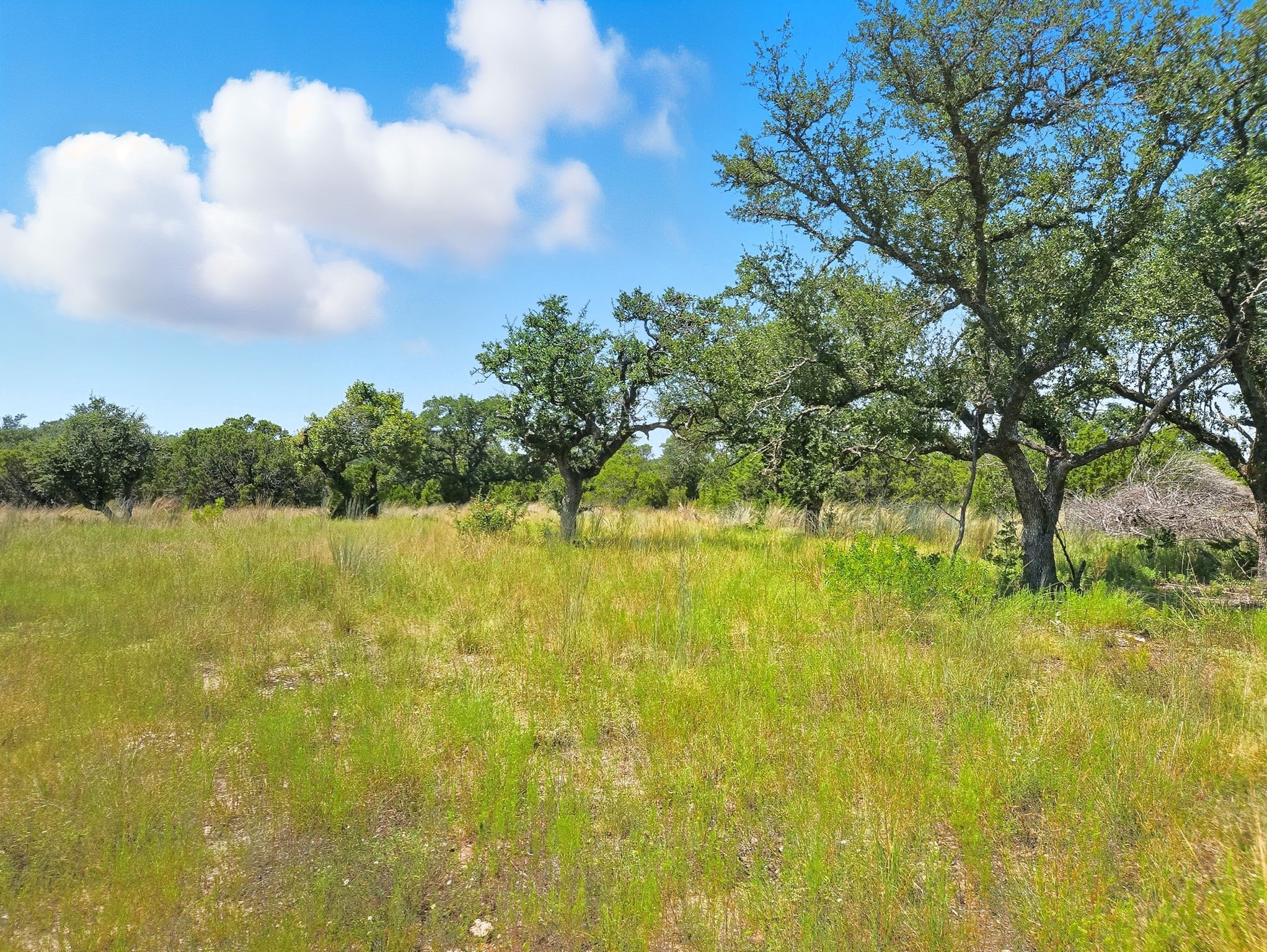 Lot 110 Phase 6 PR 42102, Evant, TX, 76525