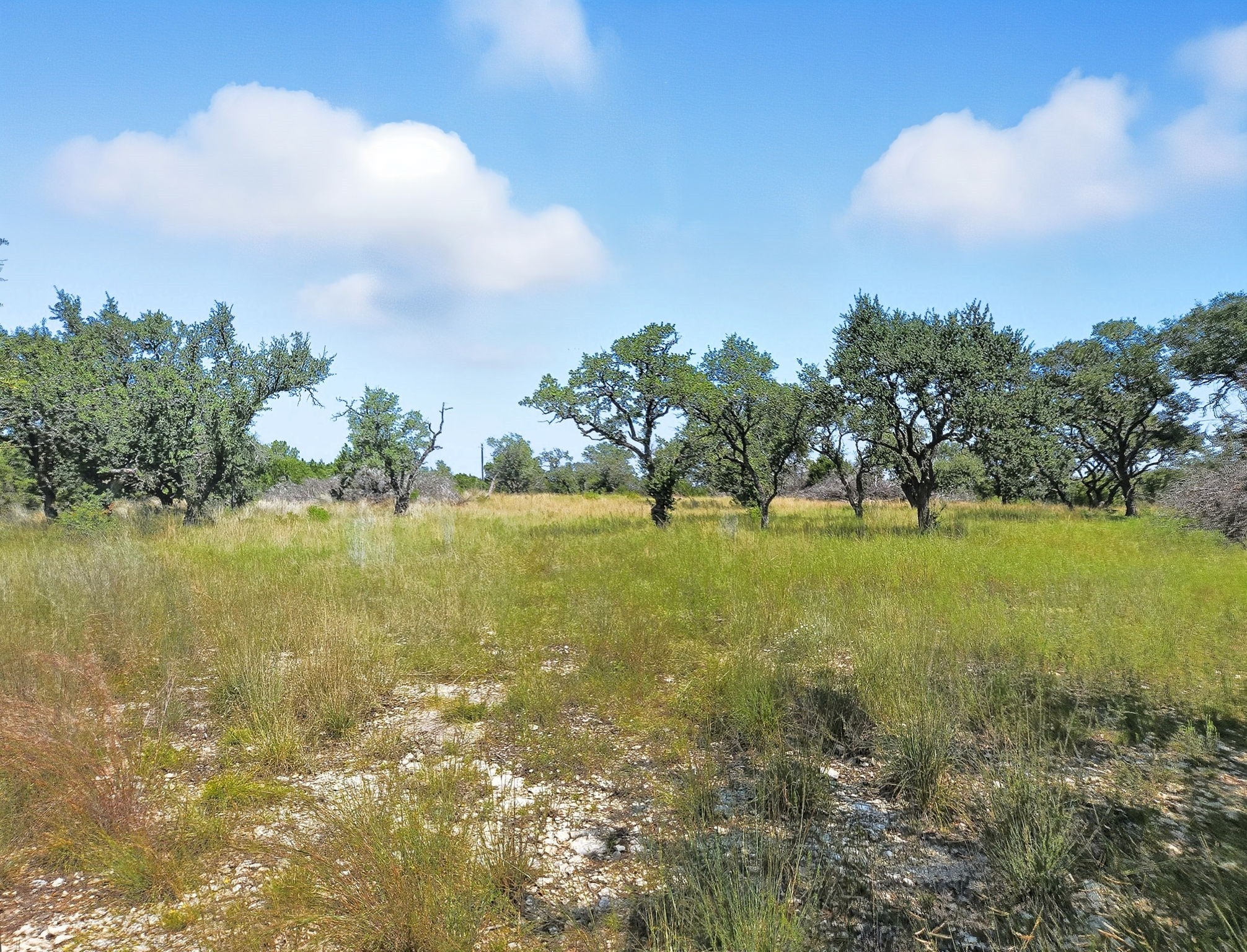 Lot 110 Phase 6 PR 42102, Evant, TX, 76525
