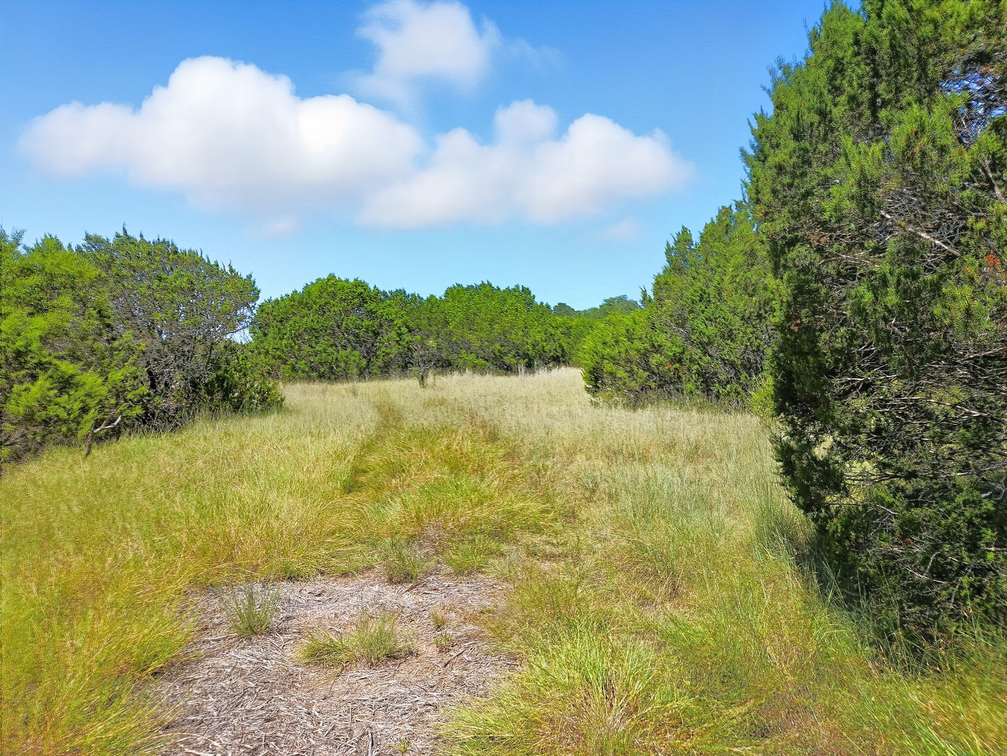 Lot 110 Phase 6 PR 42102, Evant, TX, 76525
