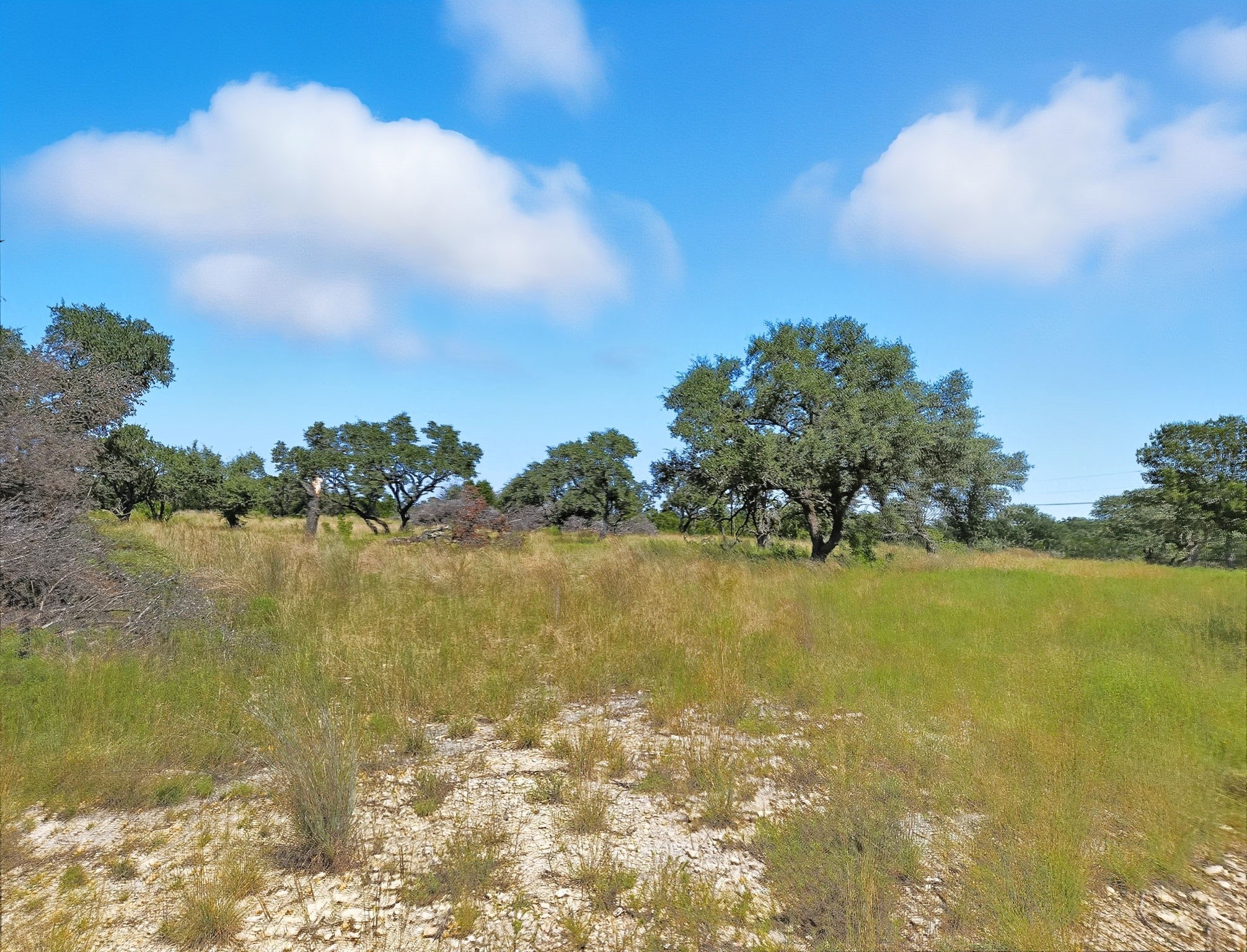 Lot 110 Phase 6 PR 42102, Evant, TX, 76525