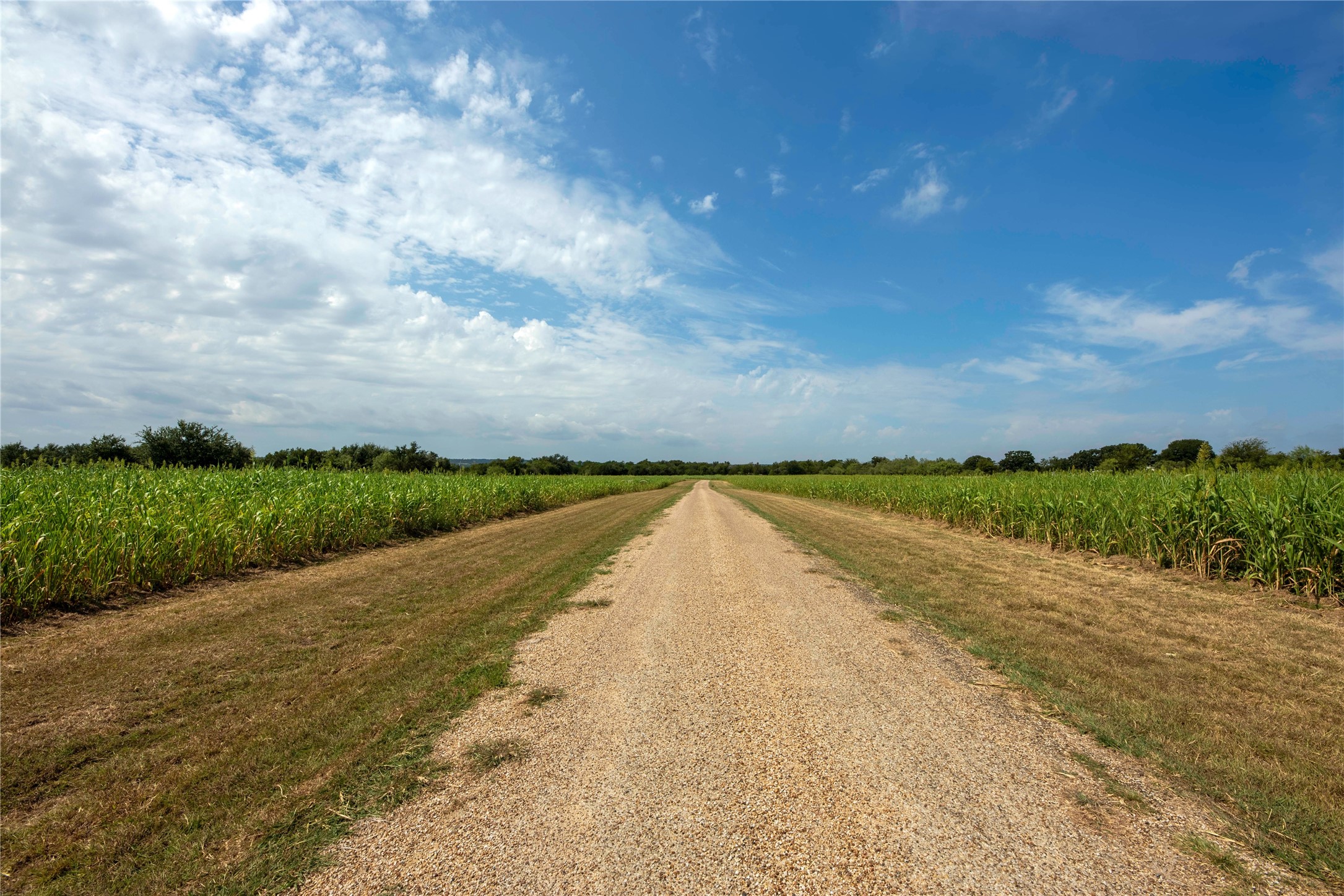 Property photo 02 of 395 County Road 2530, Meridian, TX 76665 | MLS #21073127