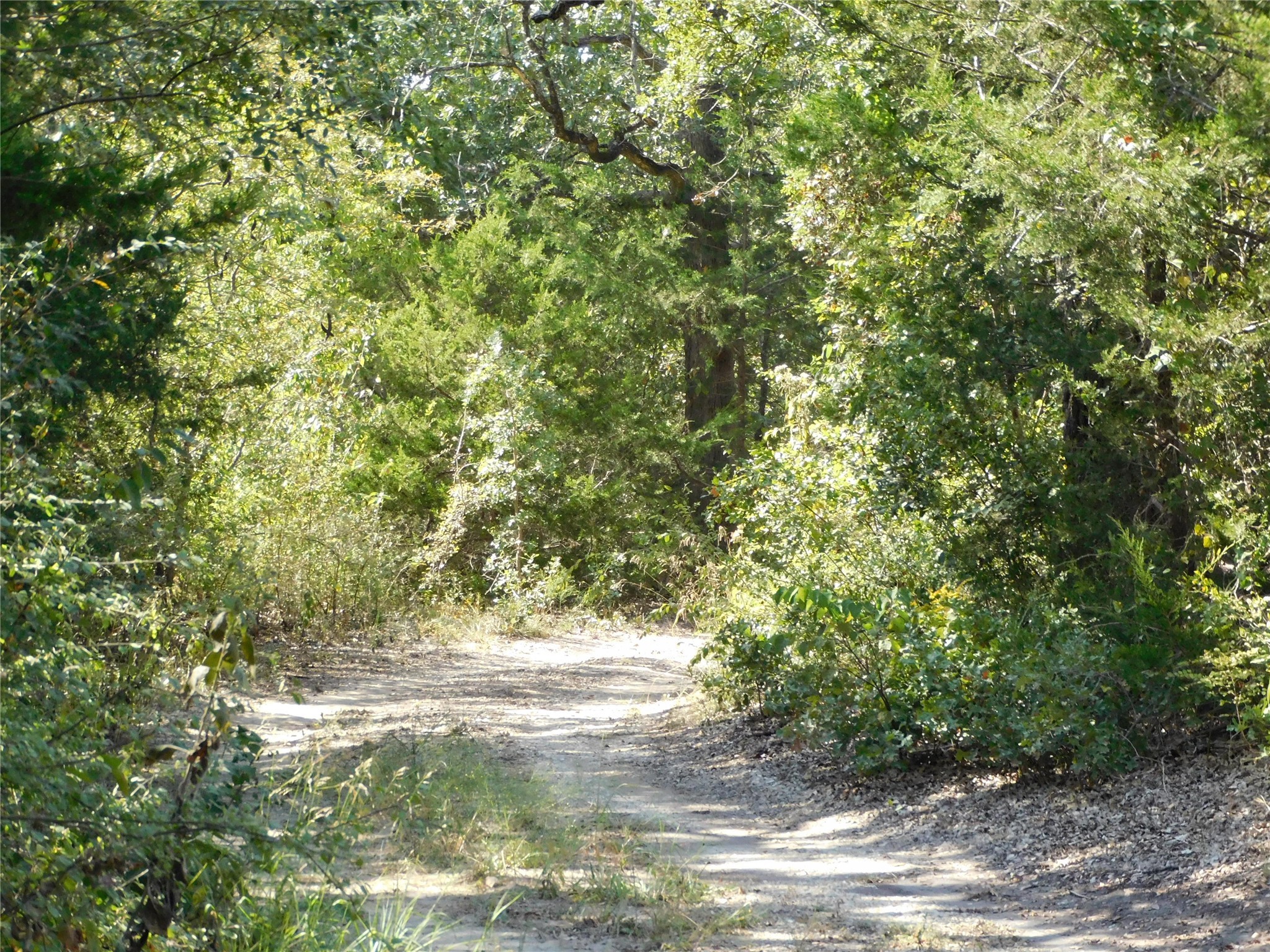Property photo 02 of 451 HCR3335 Road, Hubbard, TX 76648 | MLS #21076870