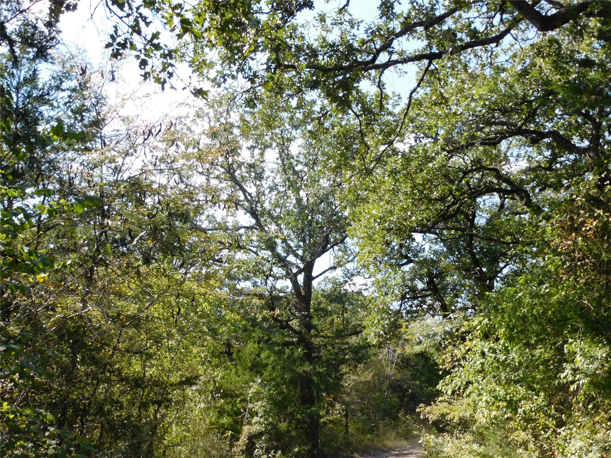 451 HCR3335 Road, Hubbard, TX, 76648