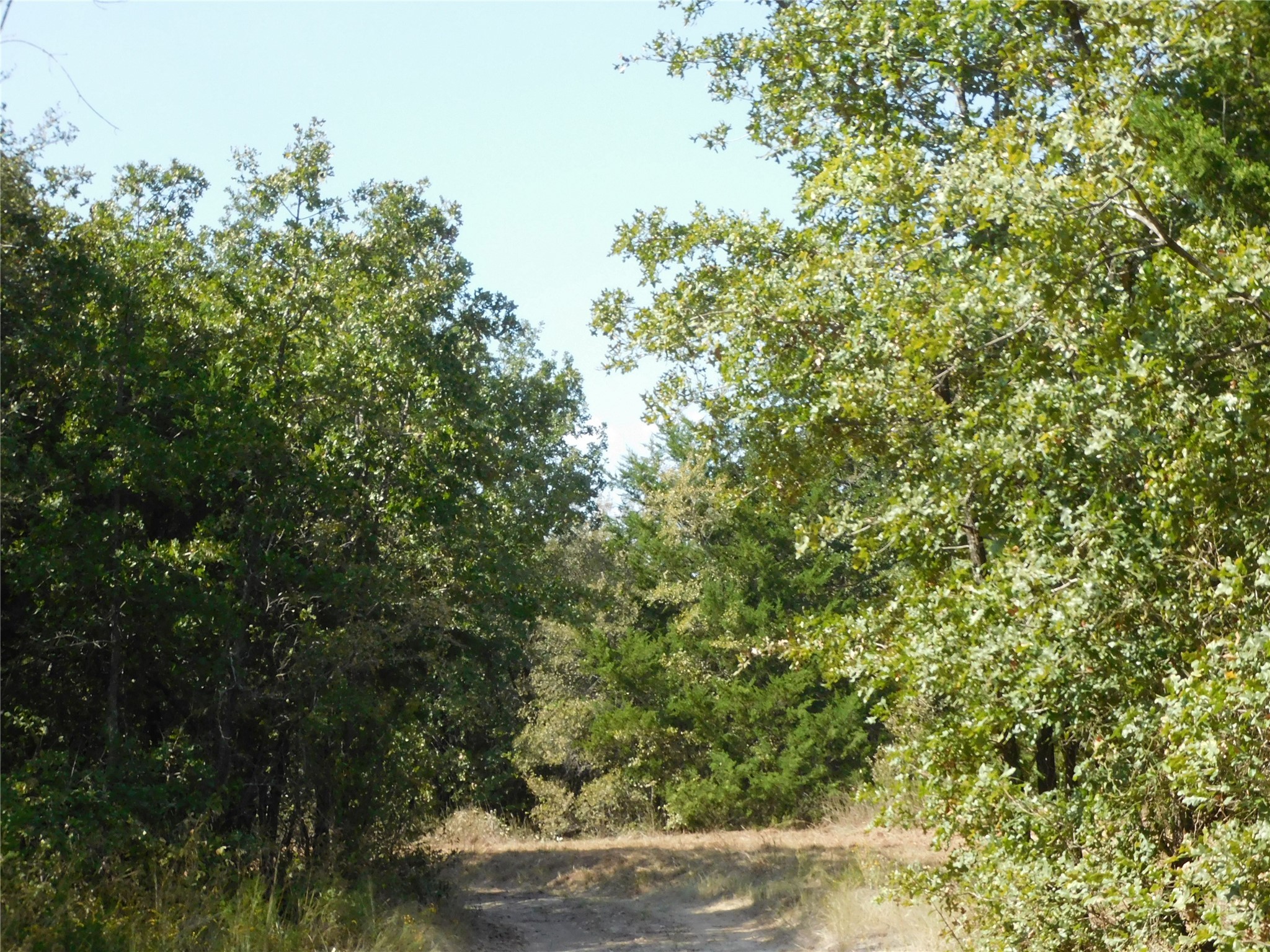451 HCR3335 Road, Hubbard, TX, 76648