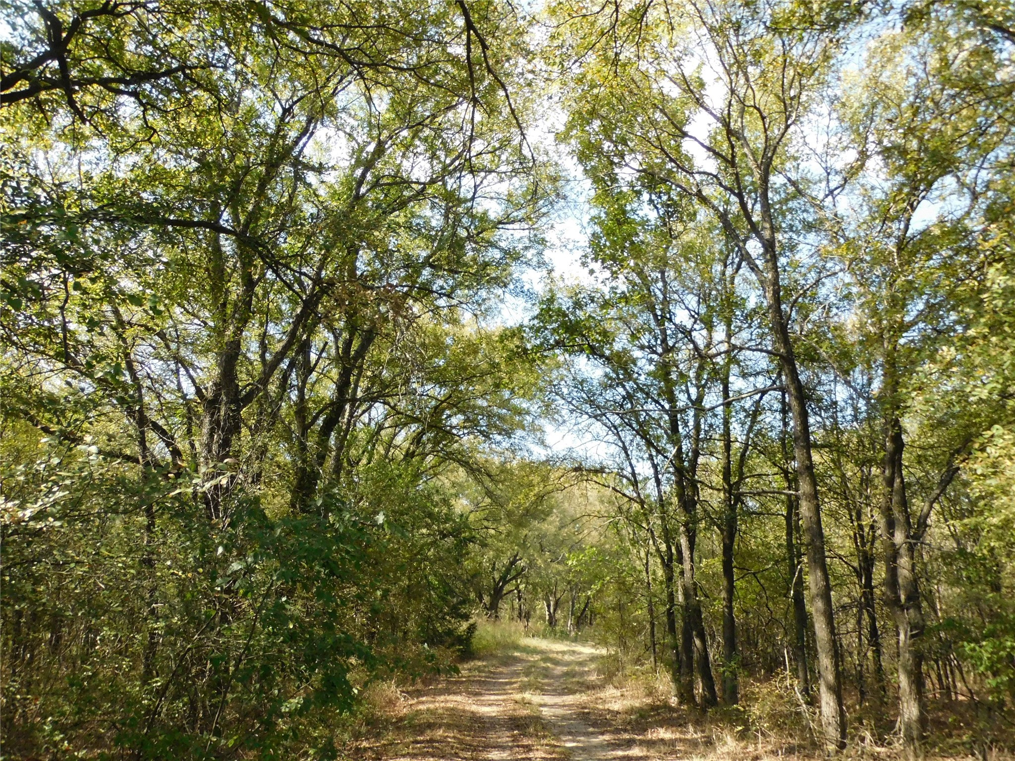 451 HCR3335 Road, Hubbard, TX, 76648