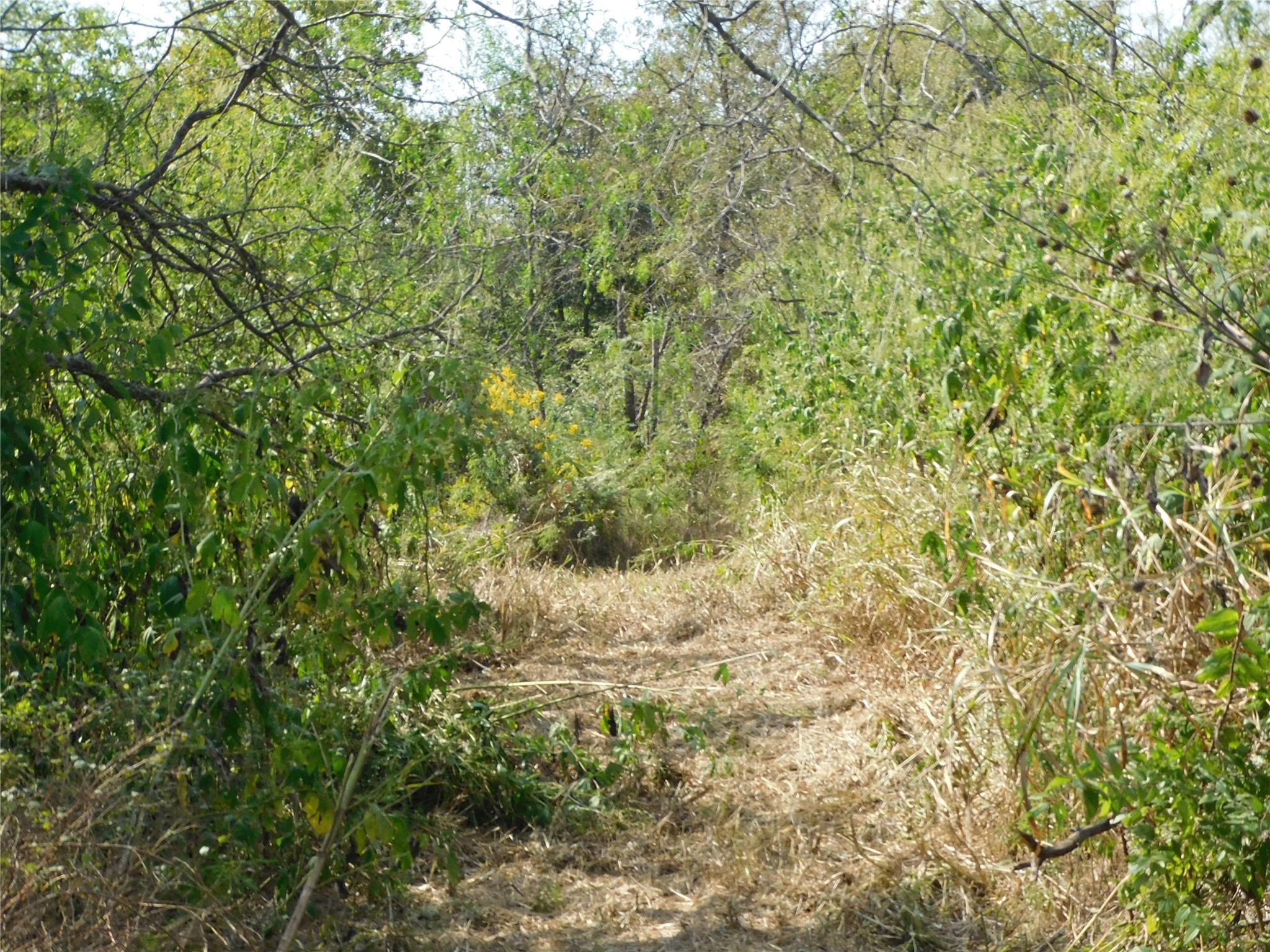 451 HCR3335 Road, Hubbard, TX, 76648