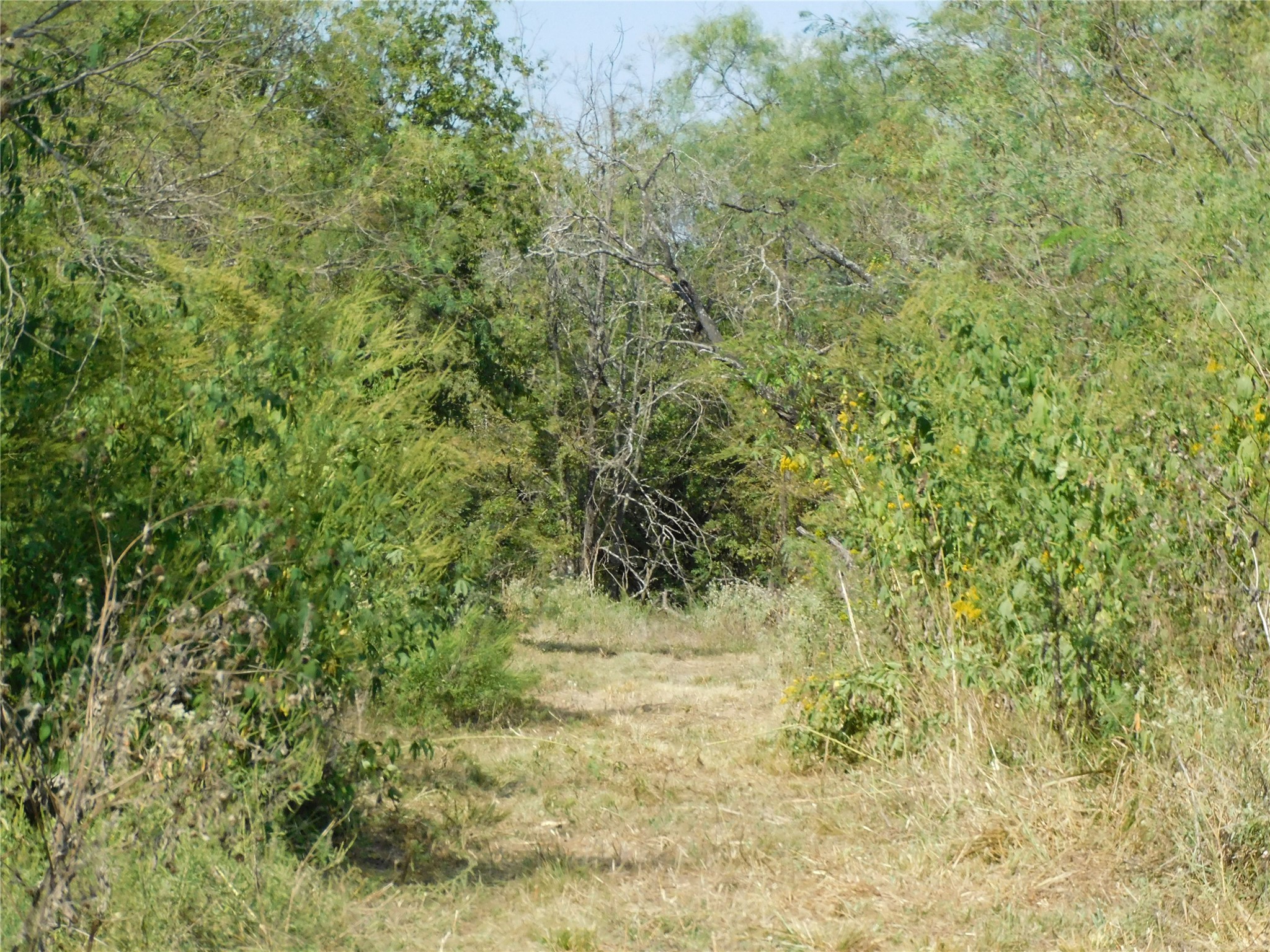 451 HCR3335 Road, Hubbard, TX, 76648