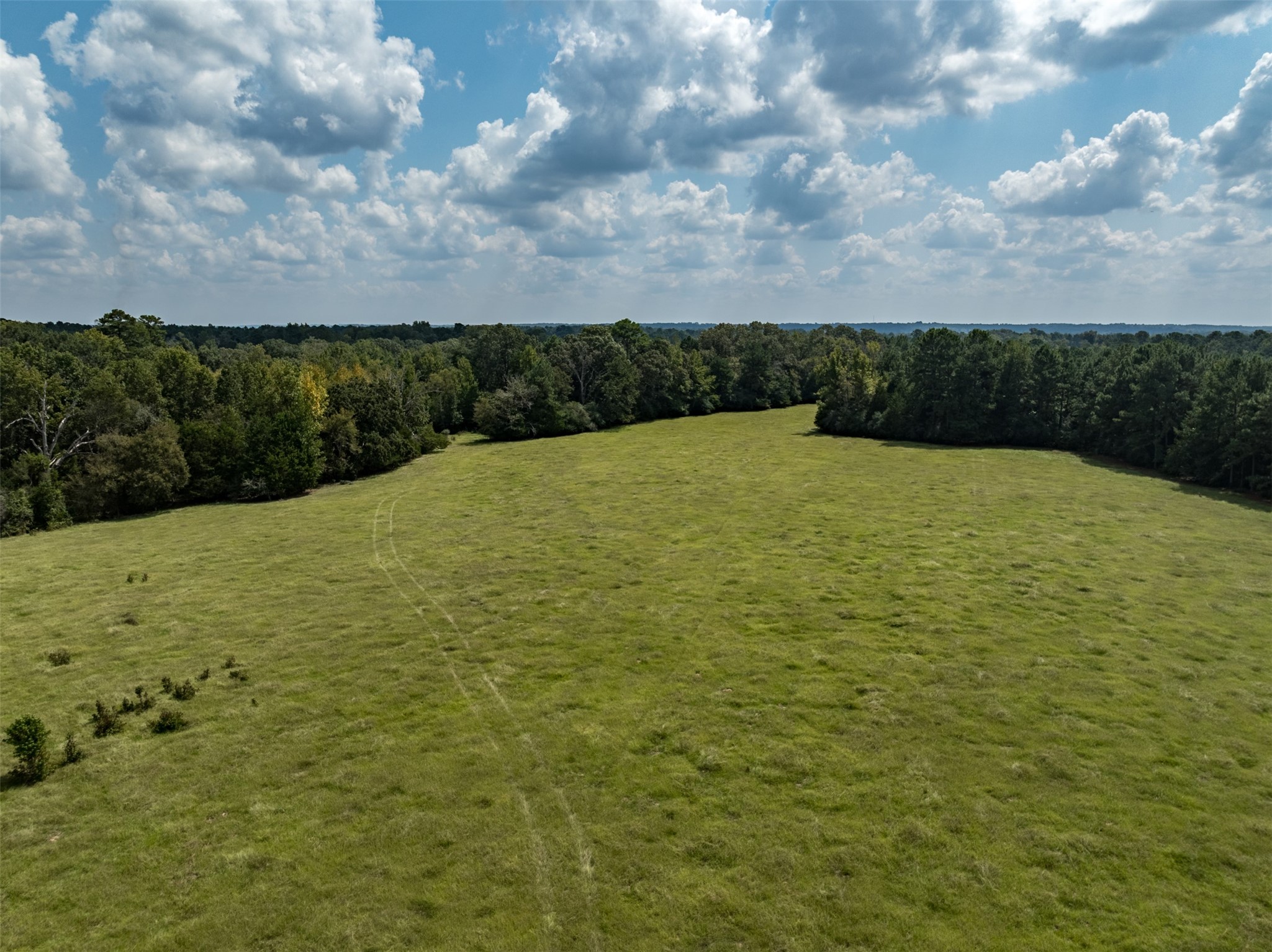 Tract 2 An County Road 153, Palestine, TX, 75801
