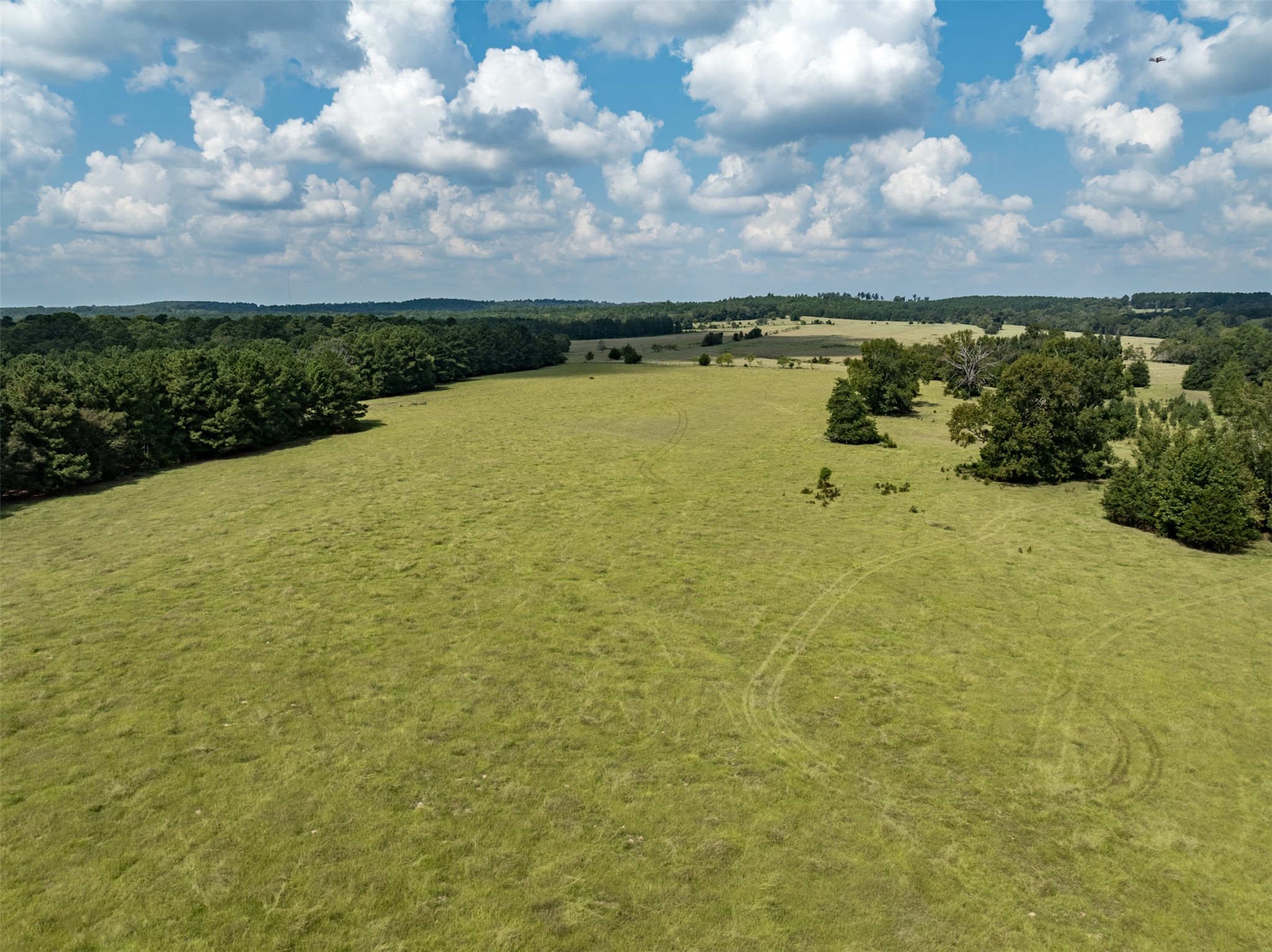 Tract 2 An County Road 153, Palestine, TX, 75801