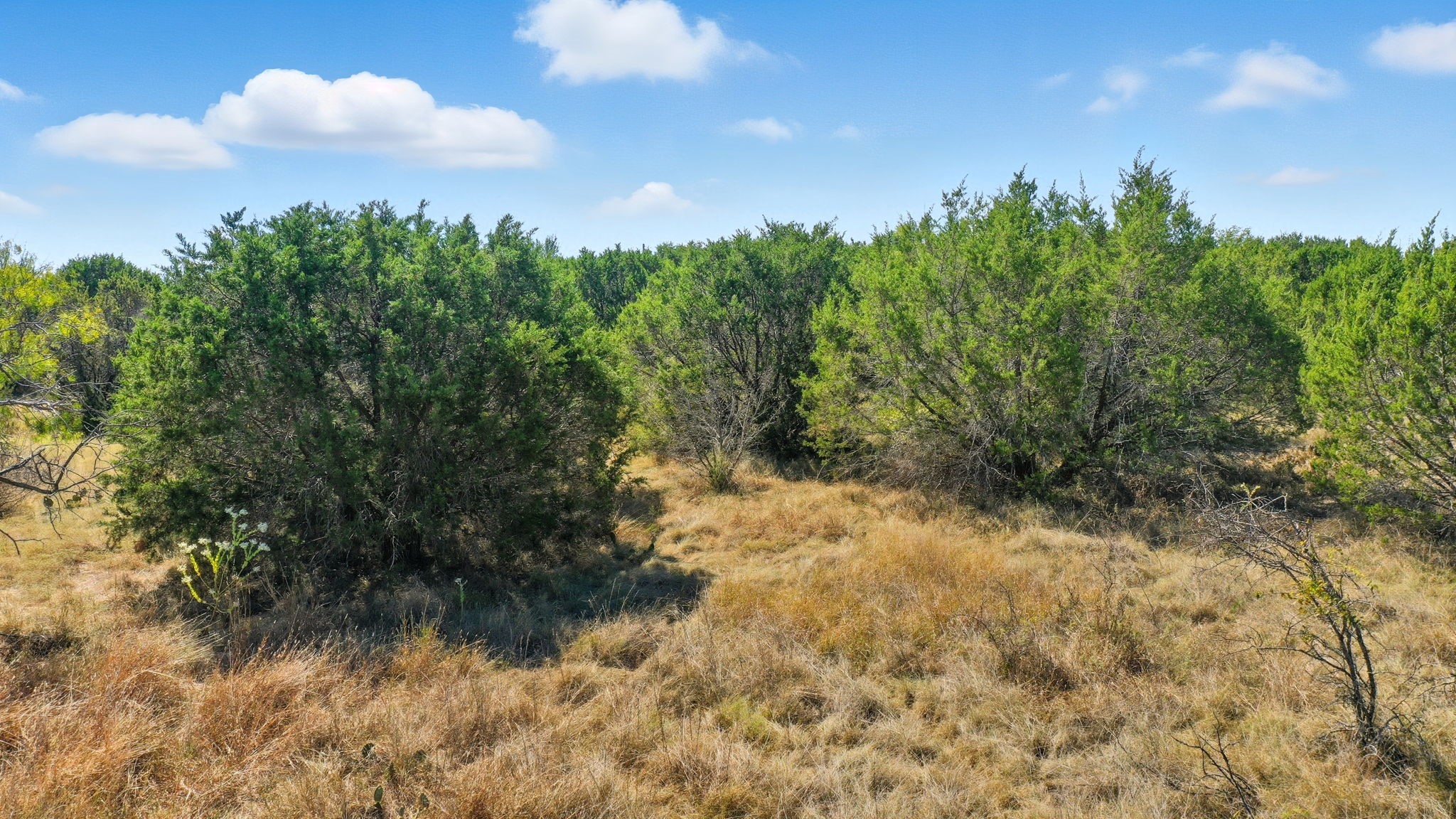 3240 Skyline Drive, Bluff Dale, TX, 76433