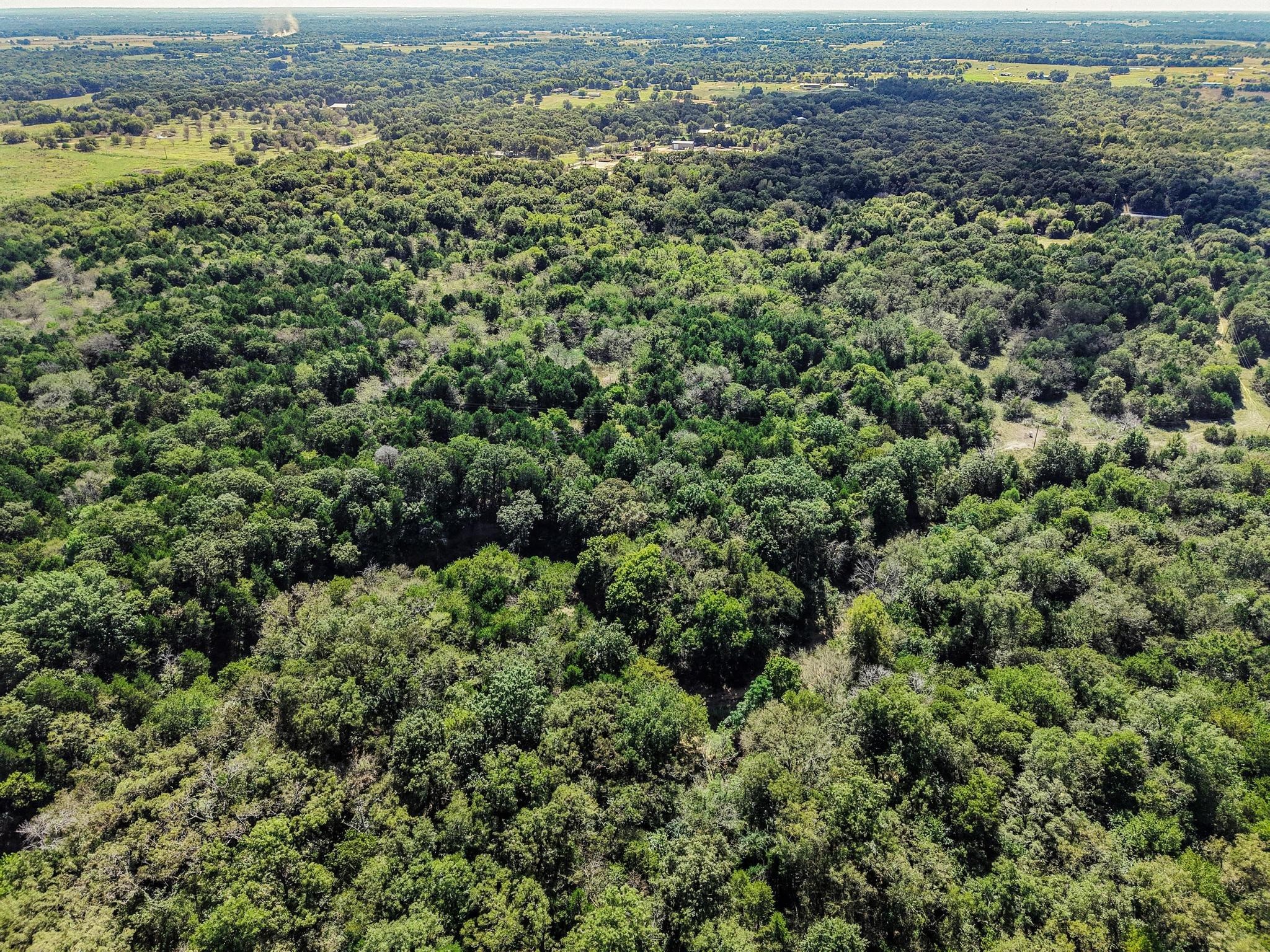 Property photo 03 of Tract 6 Gilbreath Road, Sadler, TX 76264 | MLS #21080408