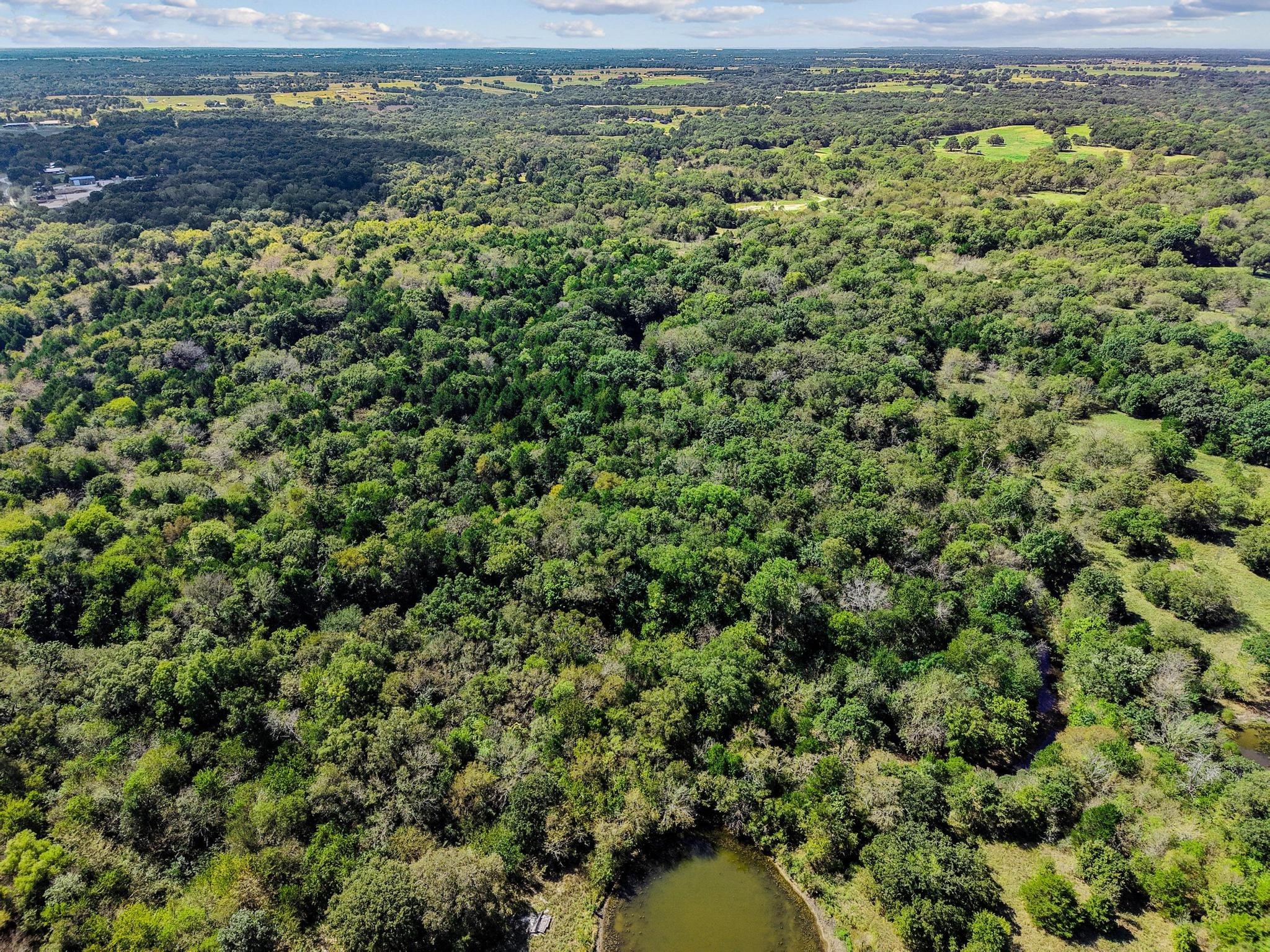 Property photo 04 of Tract 6 Gilbreath Road, Sadler, TX 76264 | MLS #21080408