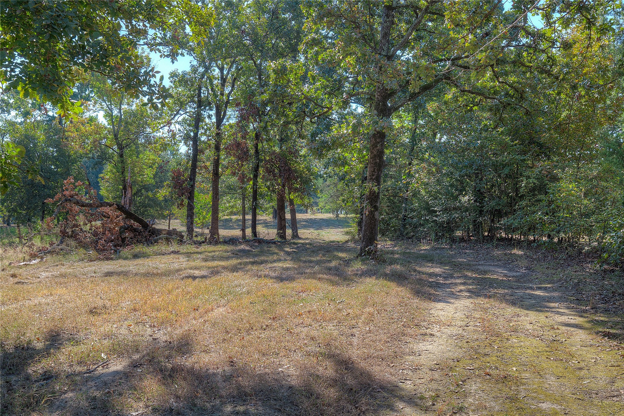 331 County Road 1887, Yantis, TX, 75497