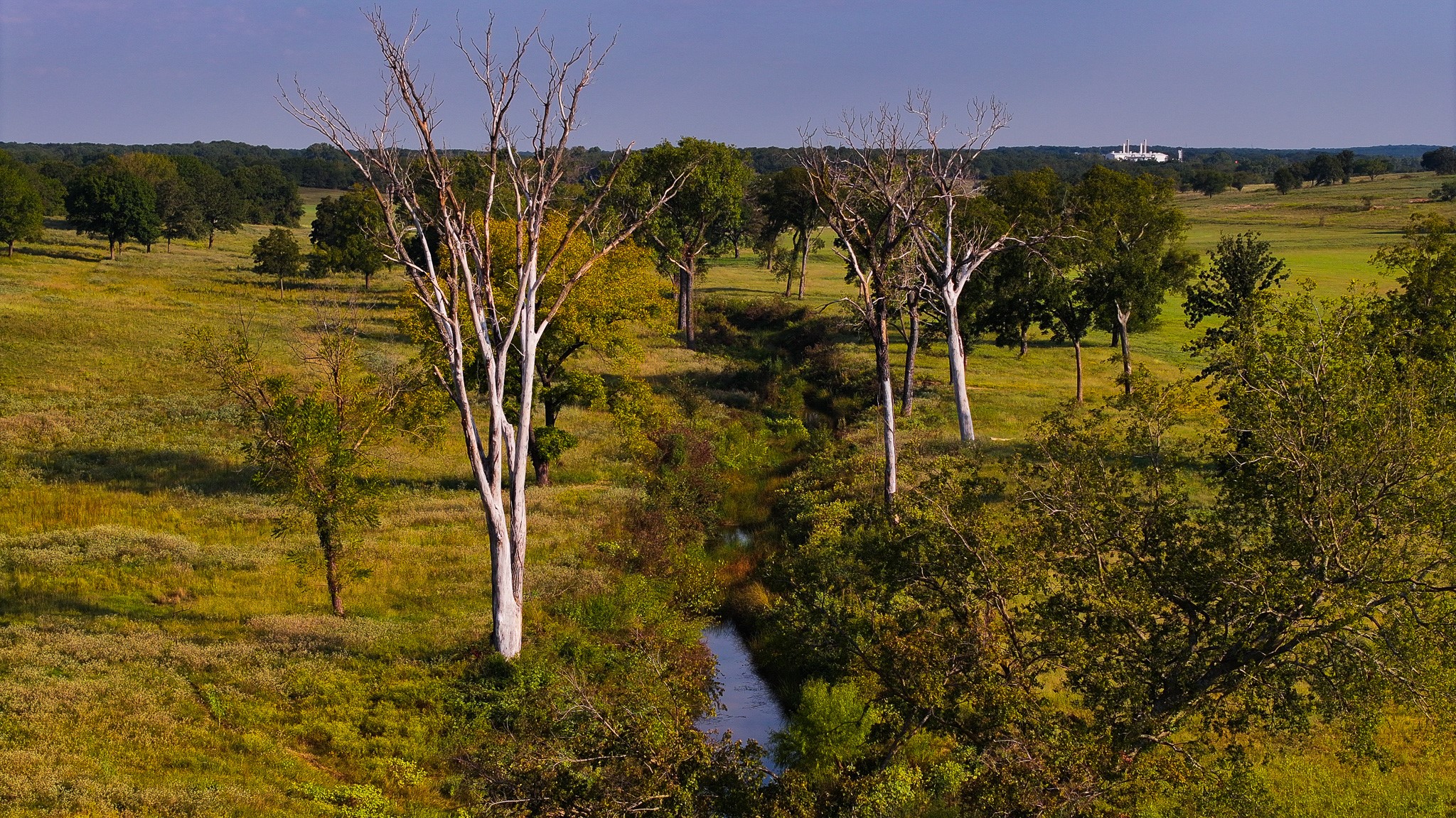 TBD Hundley Road, Montague, TX, 76251
