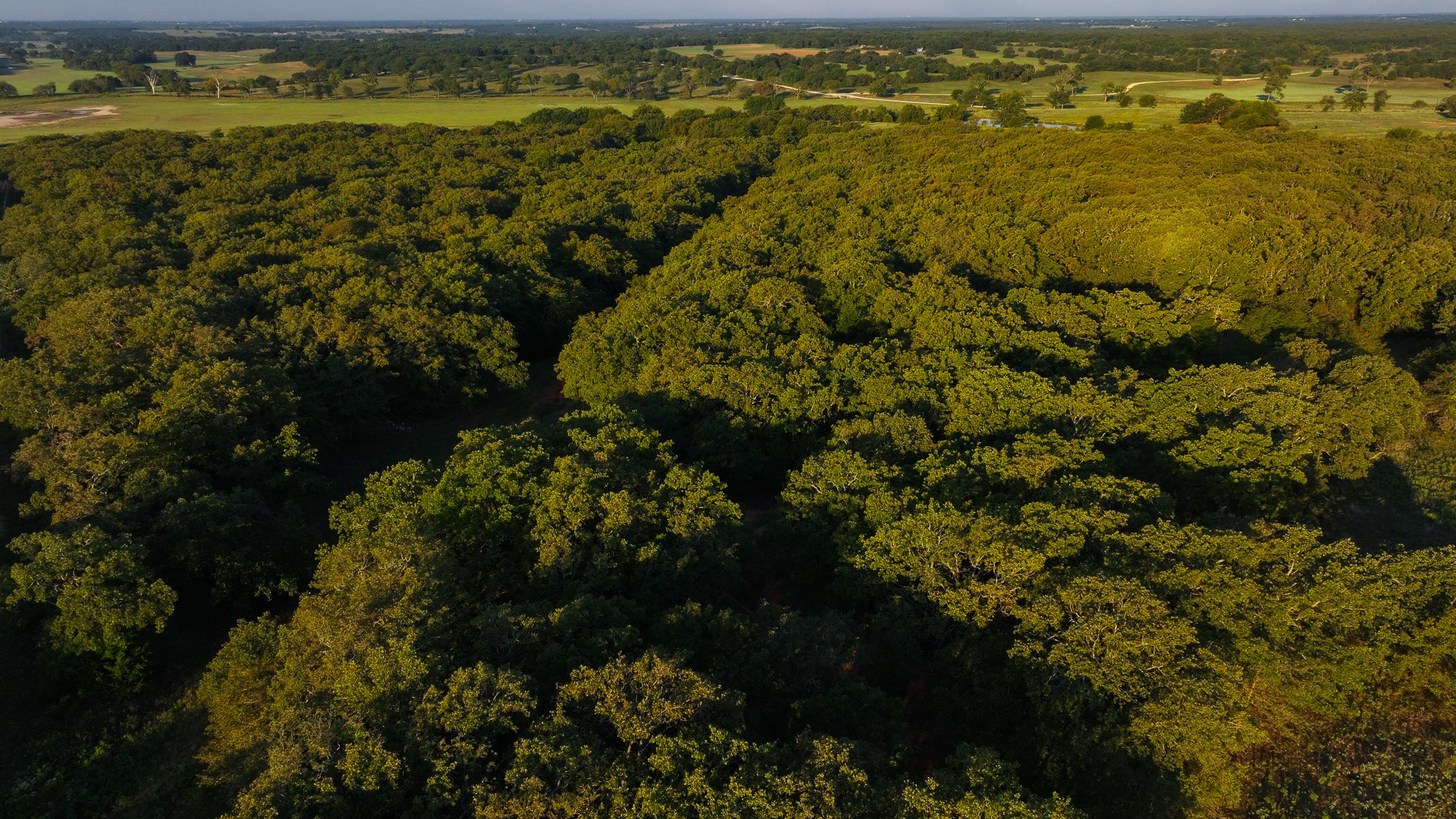 TBD Hundley Road, Montague, TX, 76251