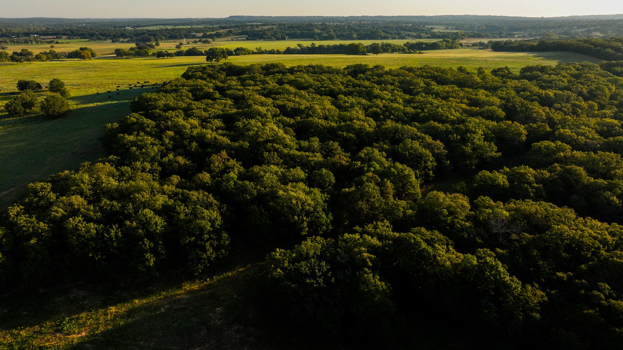 TBD Hundley Road, Montague, TX, 76251