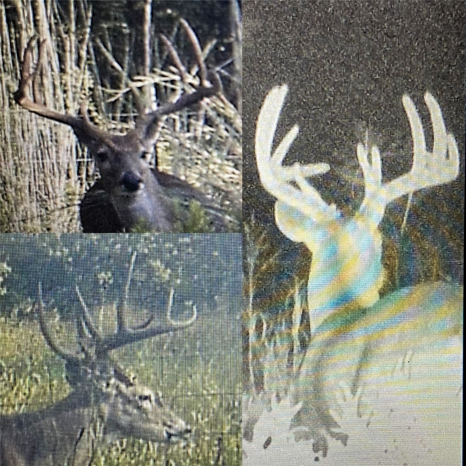 TBD Hundley Road, Montague, TX, 76251